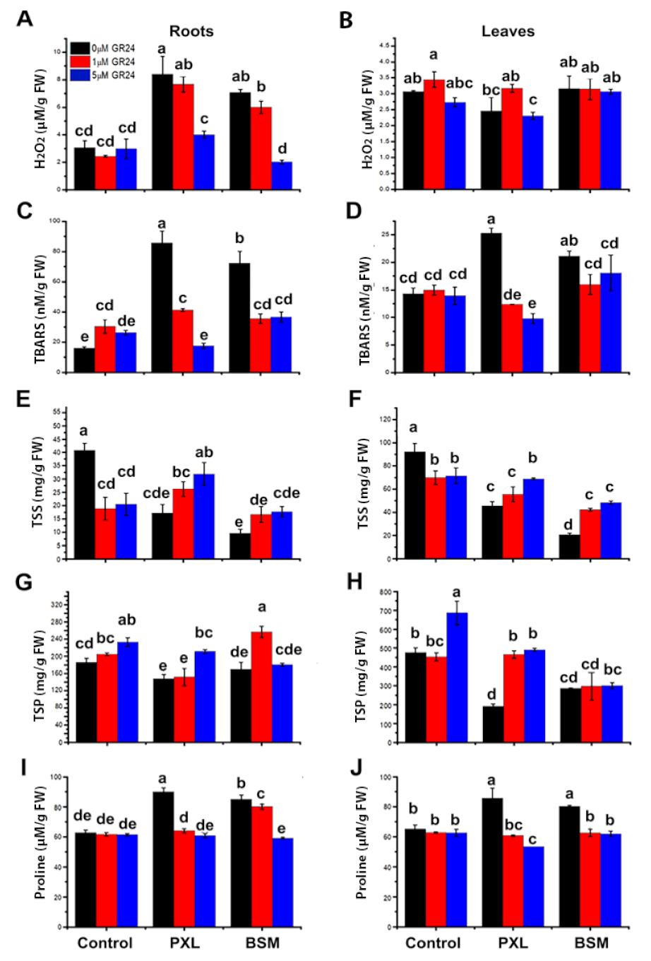 Agriculture 11 00419 g003