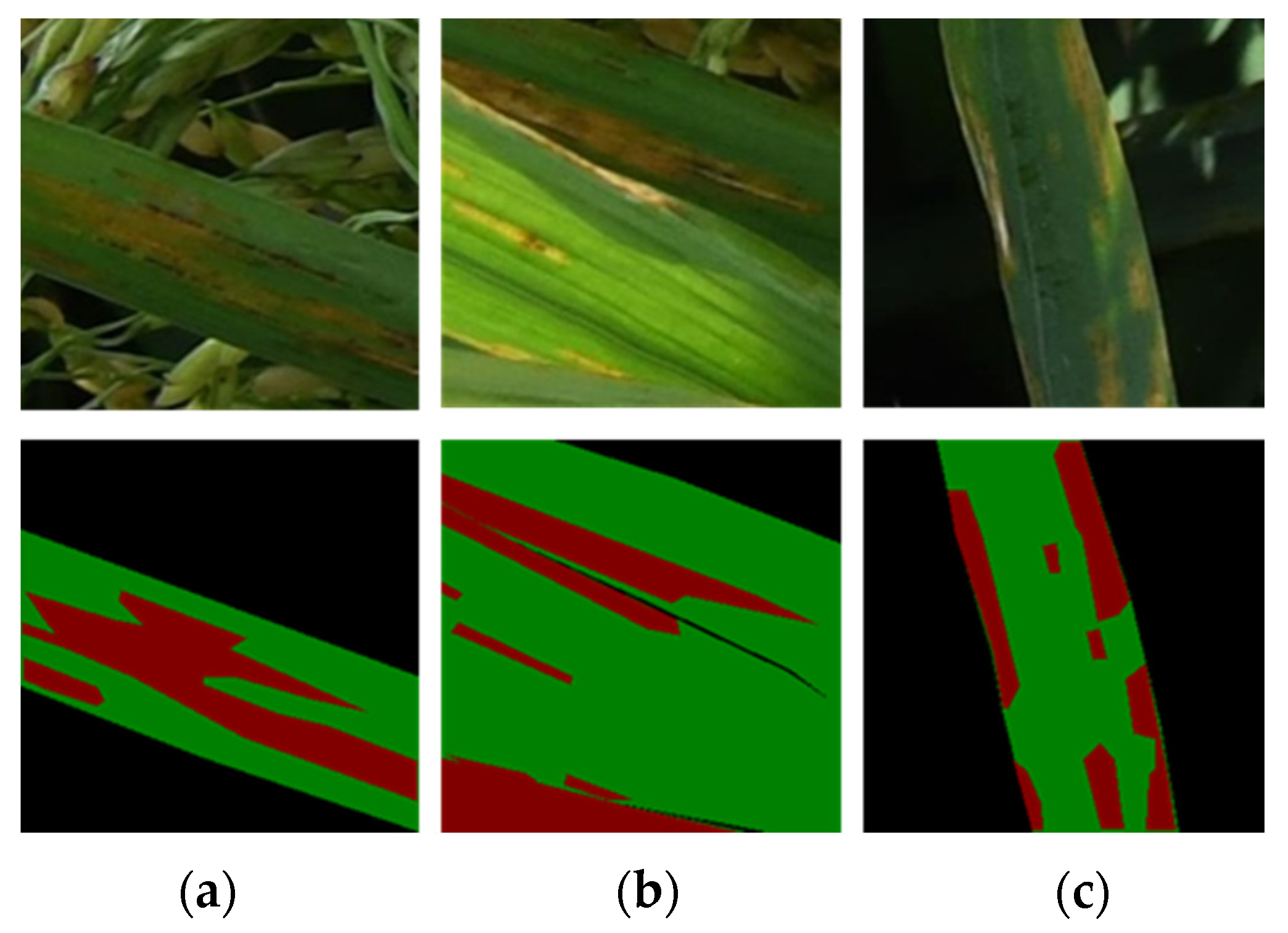 Agriculture 11 00420 g002 Agriculture 11 00420 g002