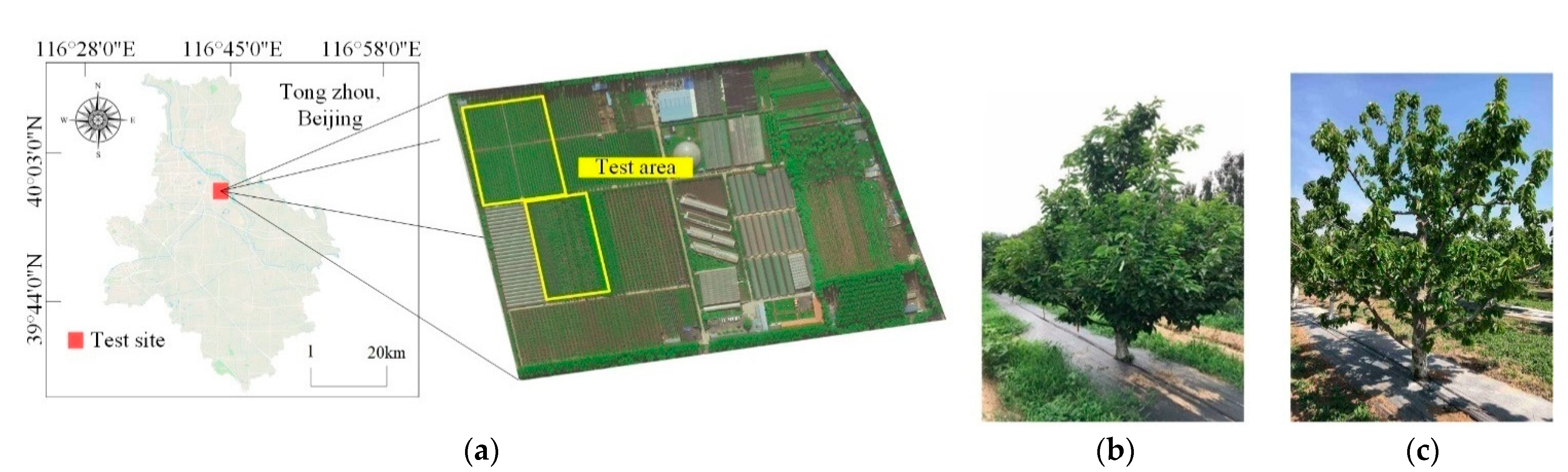 Agriculture 11 00431 g002 Agriculture 11 00431 g002