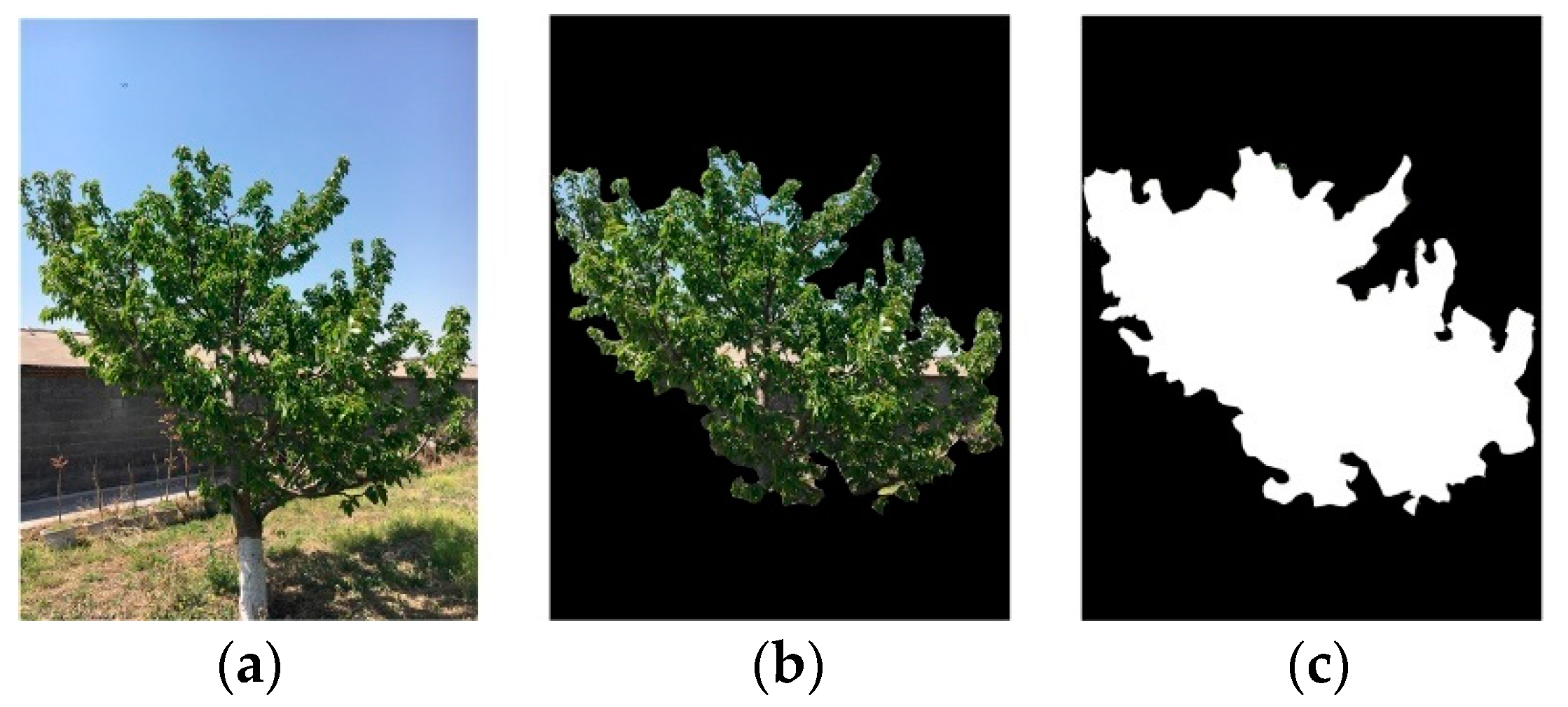 Agriculture 11 00431 g003 Agriculture 11 00431 g003