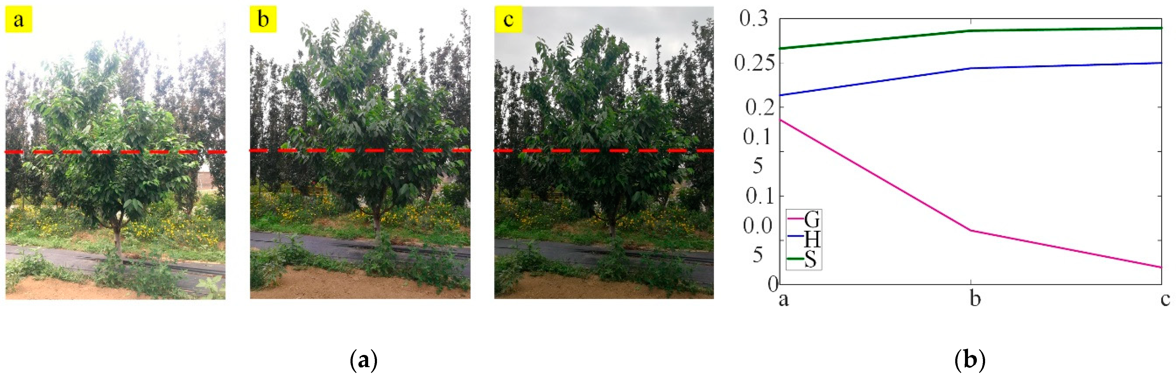 Agriculture 11 00431 g005 Agriculture 11 00431 g005