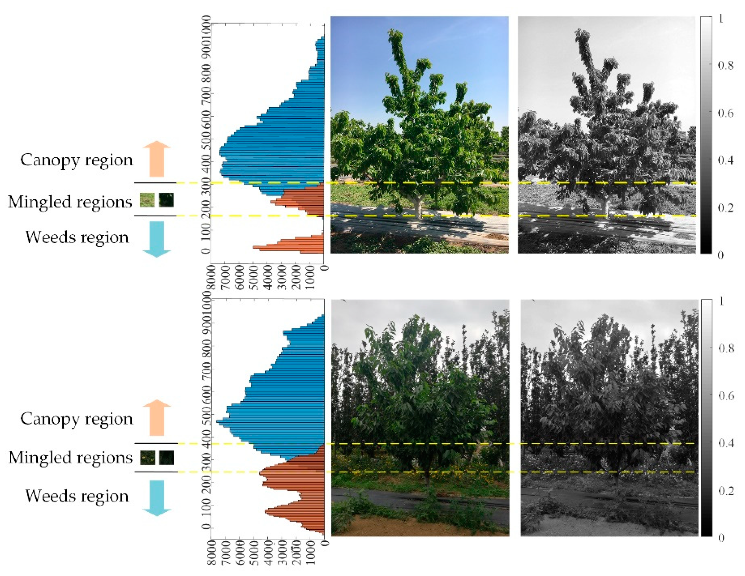 Agriculture 11 00431 g006 Agriculture 11 00431 g006