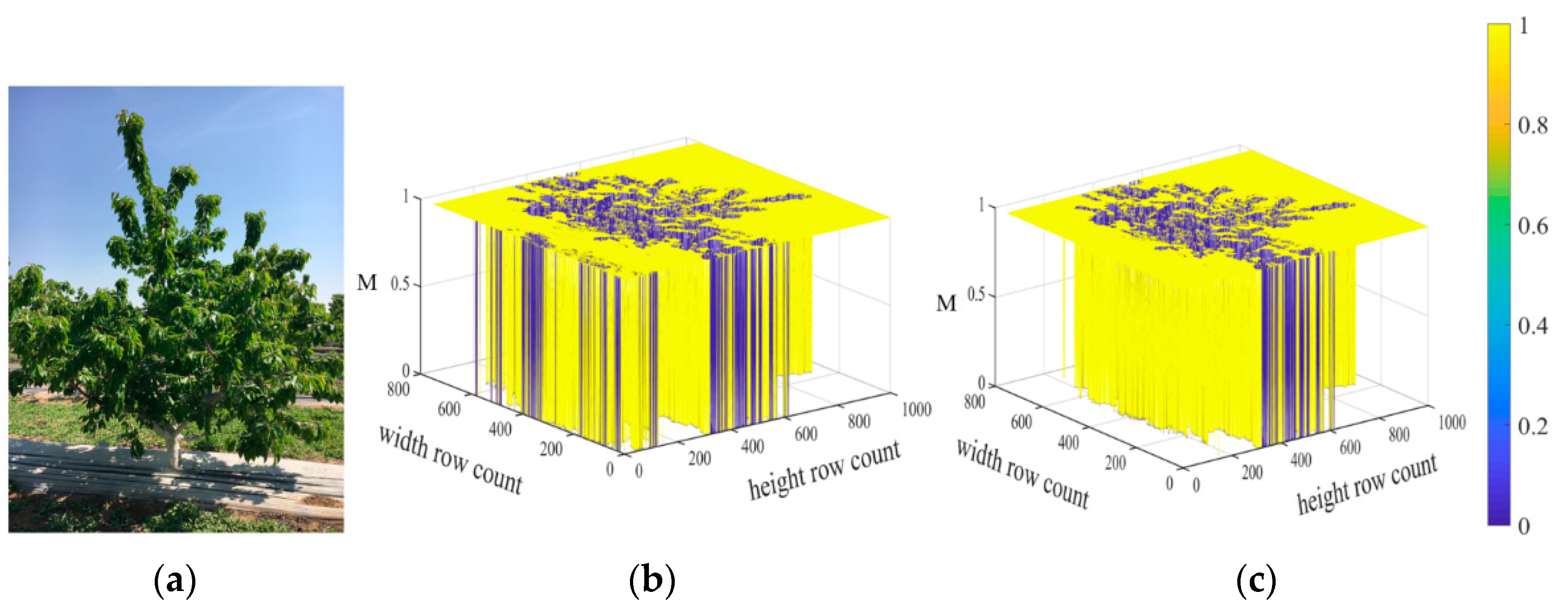 Agriculture 11 00431 g007 Agriculture 11 00431 g007