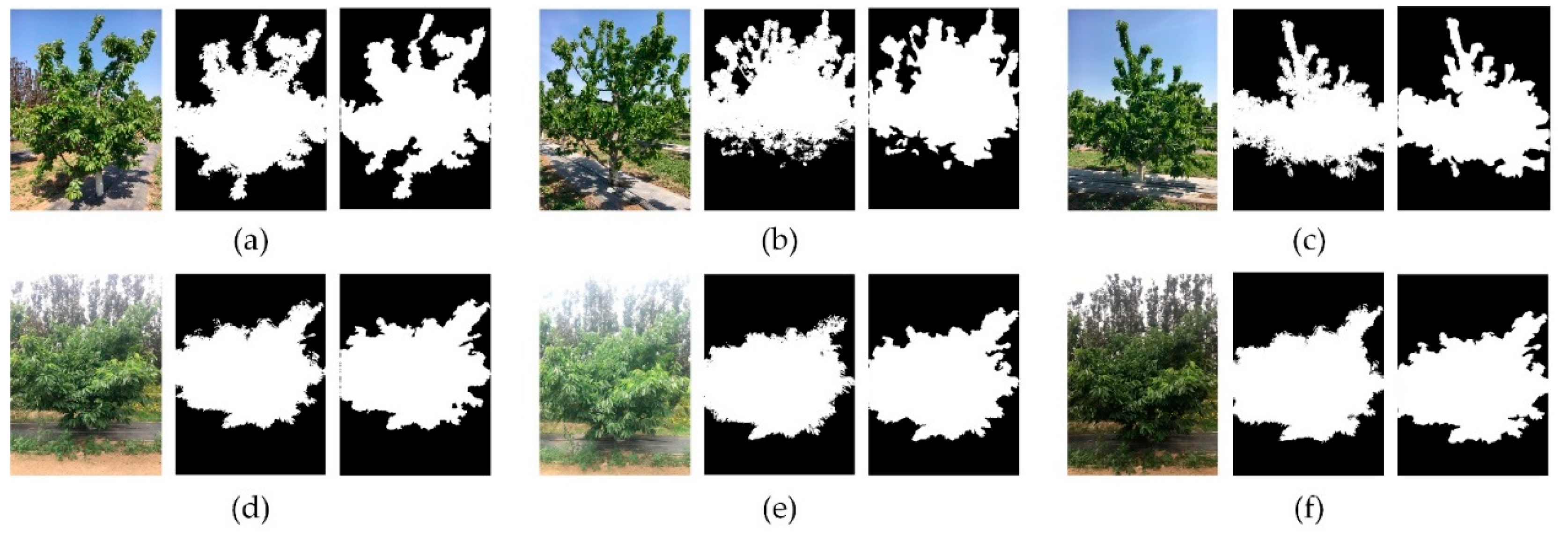 Agriculture 11 00431 g011 Agriculture 11 00431 g011