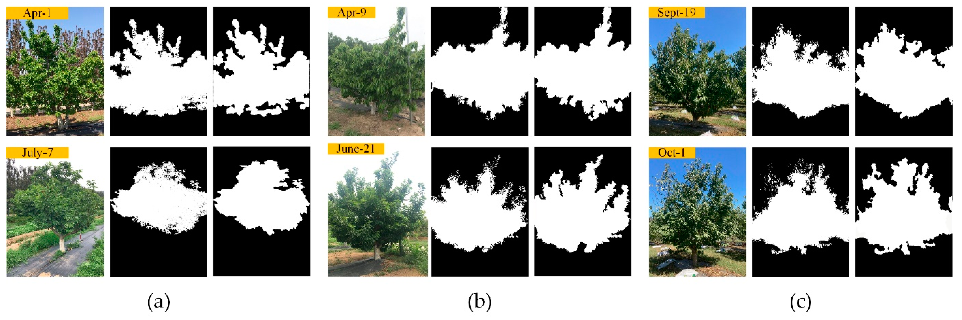 Agriculture 11 00431 g012 Agriculture 11 00431 g012