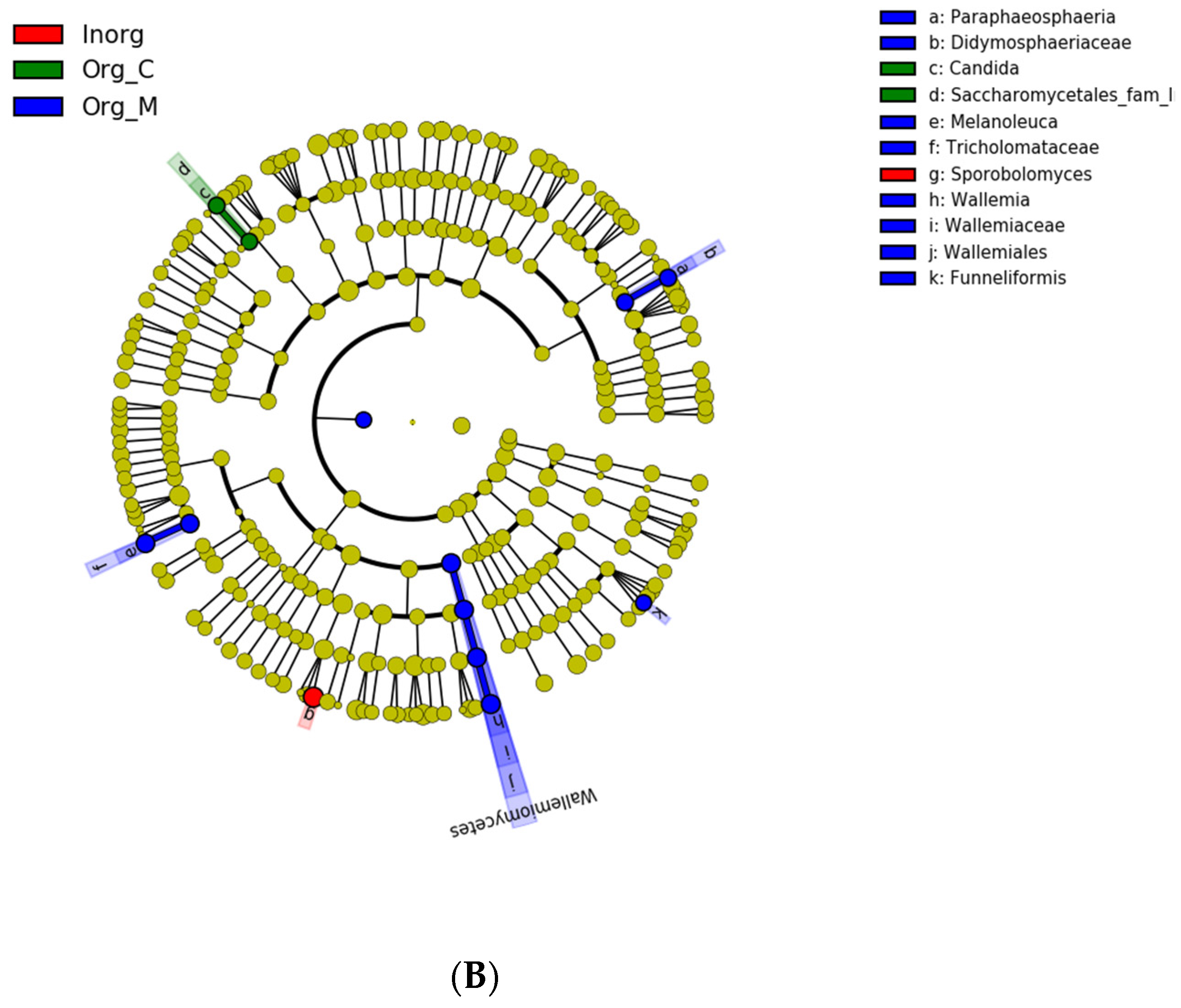 Agriculture 11 00445 g006b Agriculture 11 00445 g006b