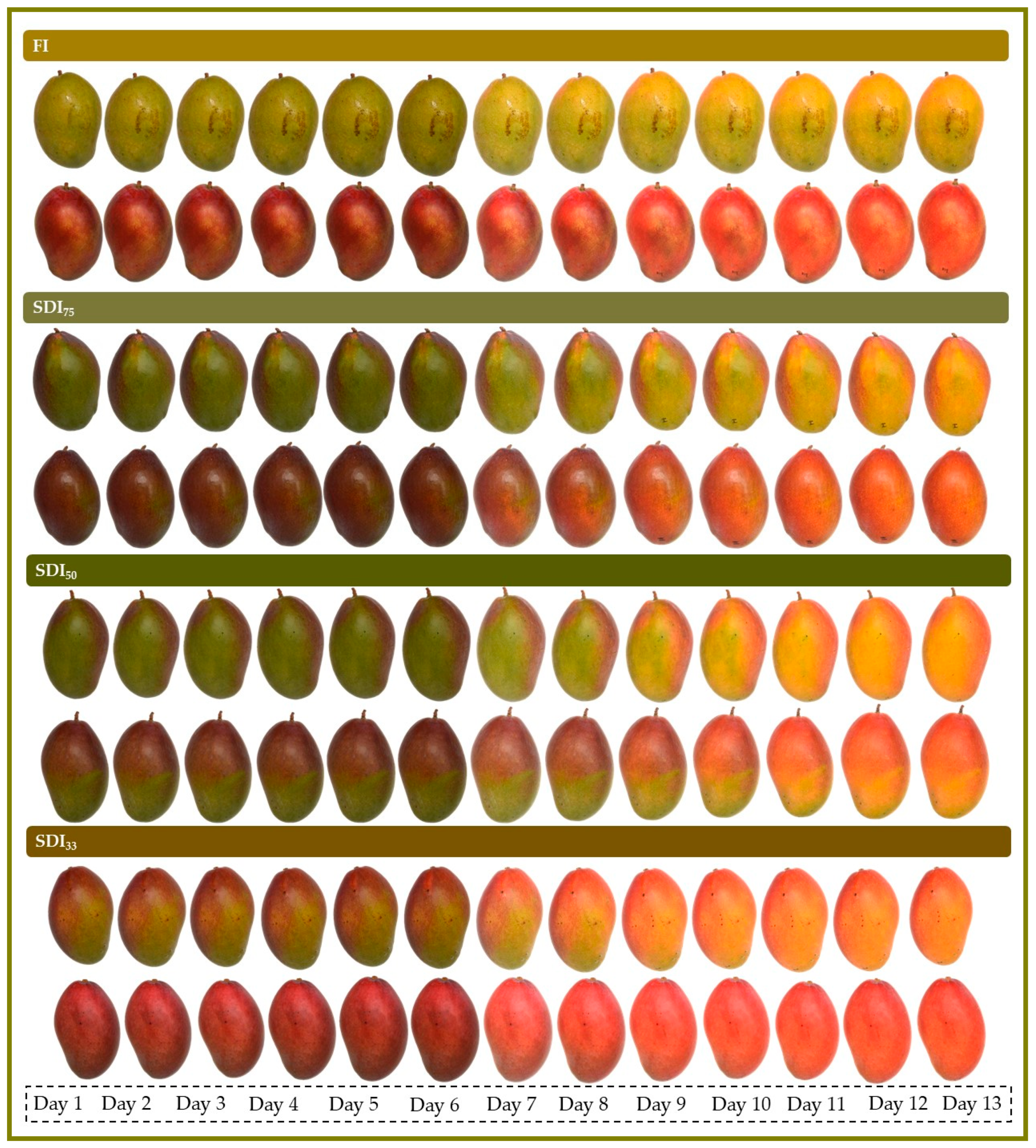 Agriculture 11 00448 g002