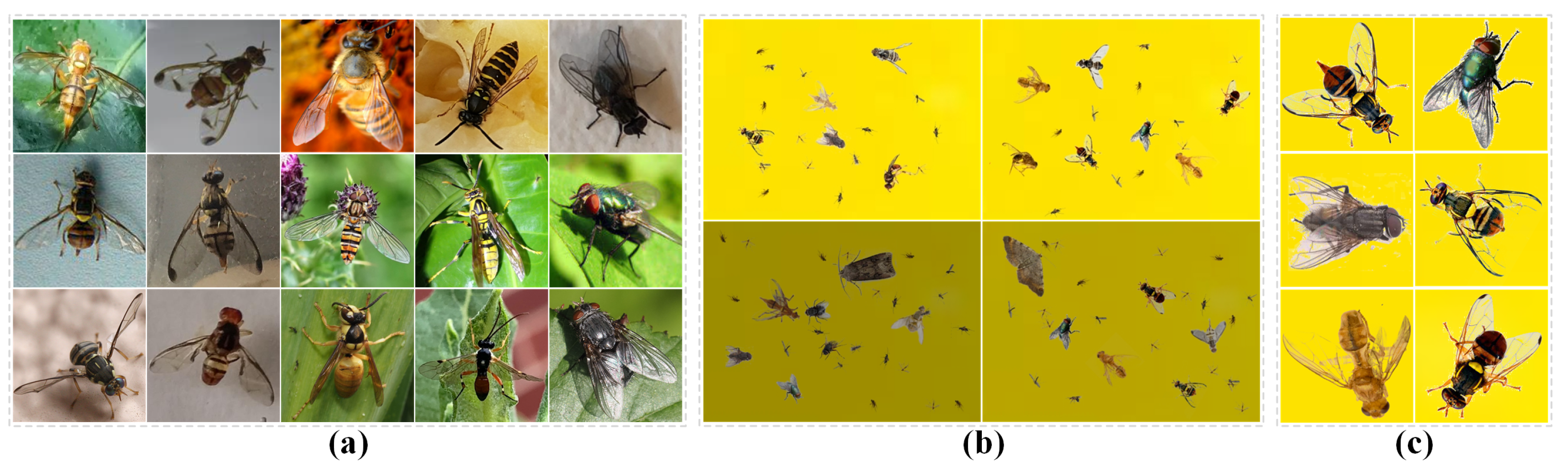 Agriculture 11 00460 g005