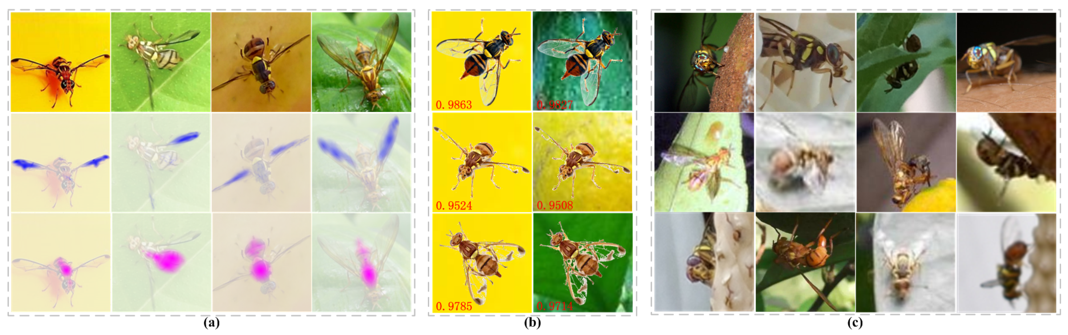 Agriculture 11 00460 g008
