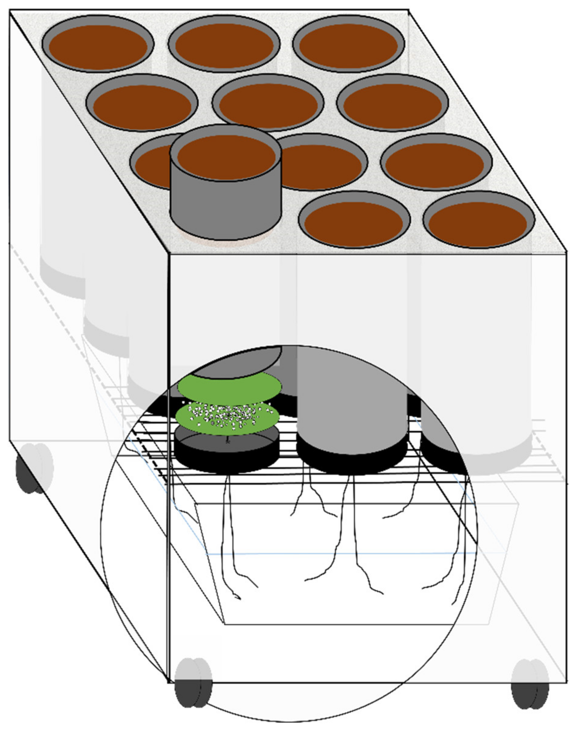 Agriculture 11 00464 g001 Agriculture 11 00464 g001