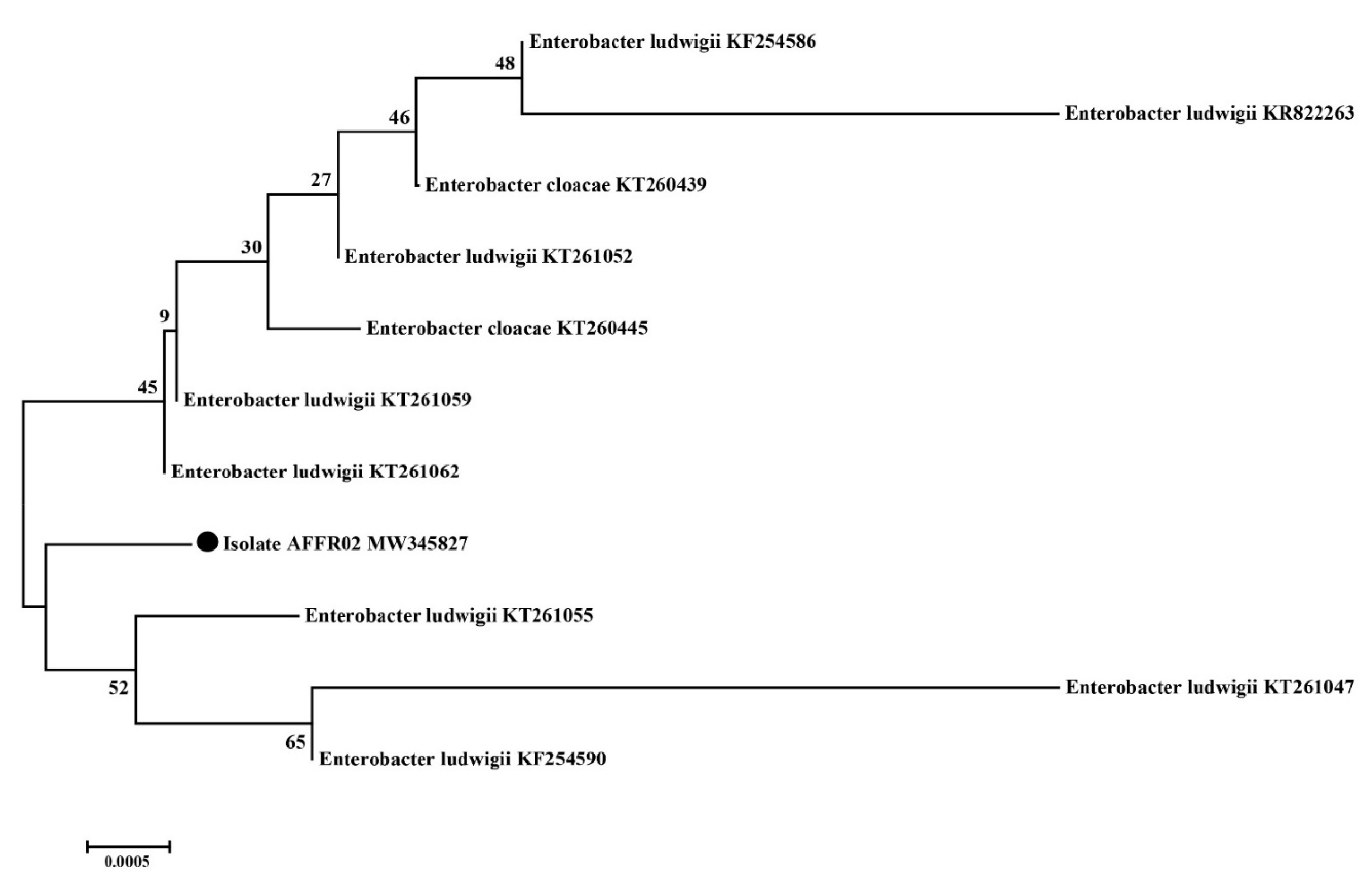Agriculture 11 00485 g002 Agriculture 11 00485 g002