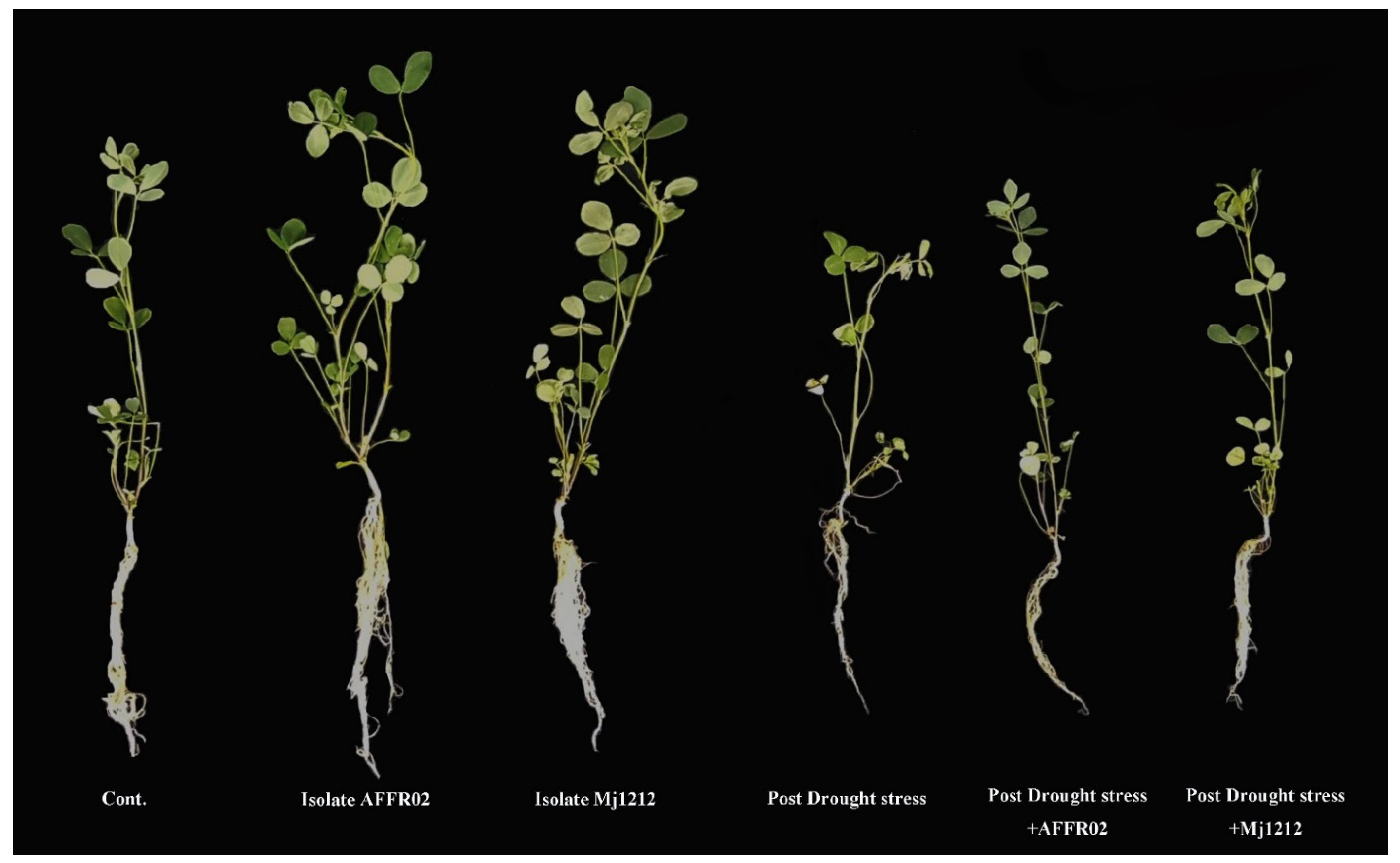 Agriculture 11 00485 g003 Agriculture 11 00485 g003