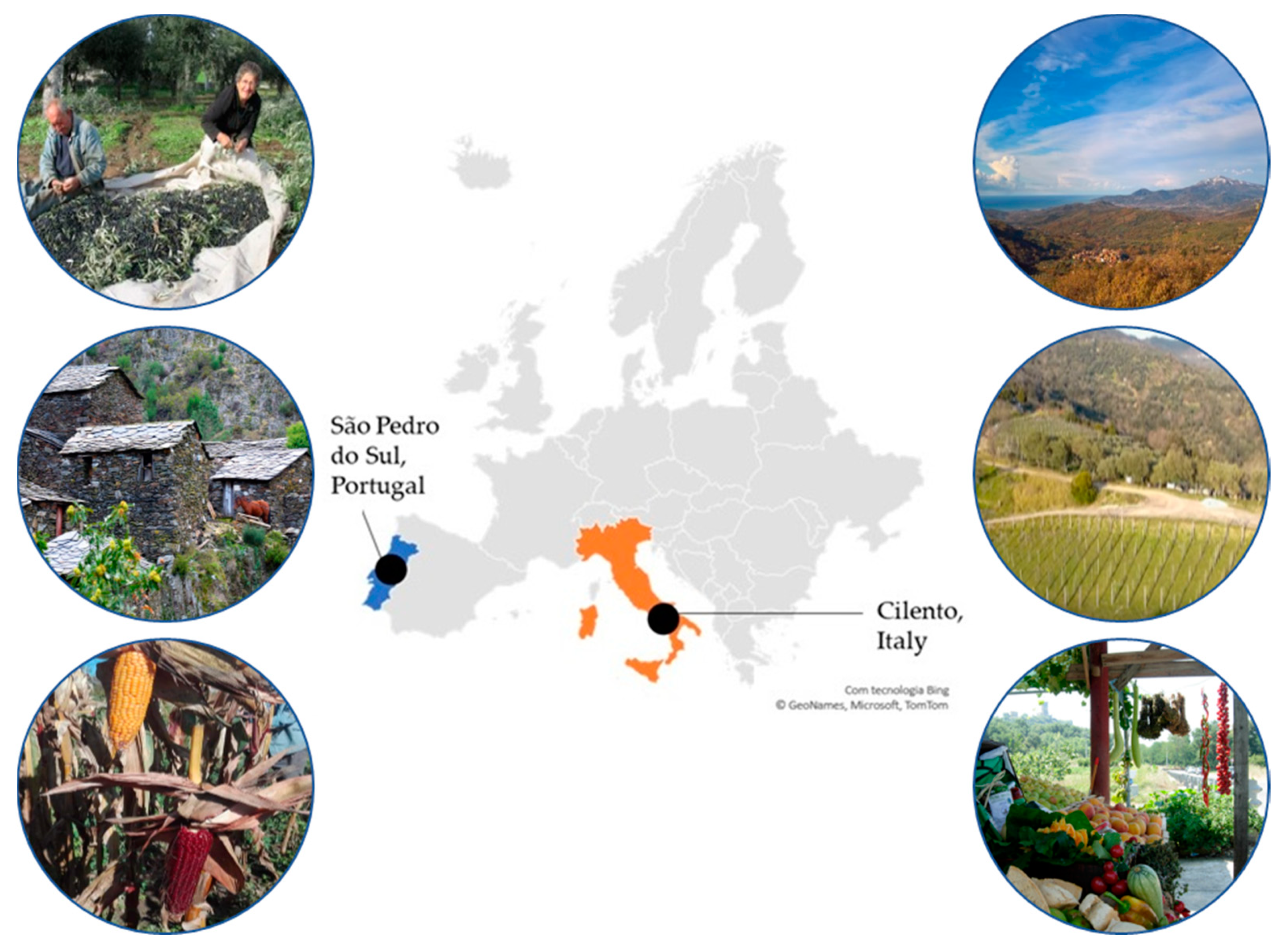 Agriculture 11 00511 g001 Agriculture 11 00511 g001