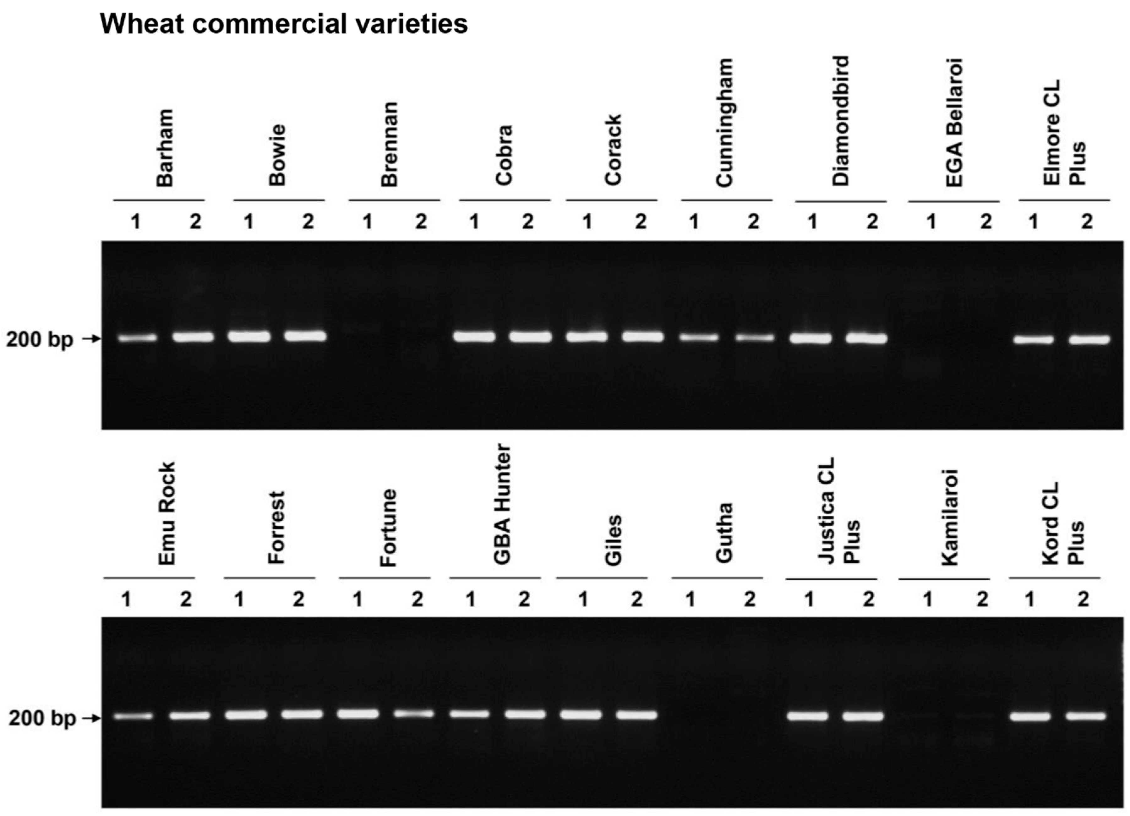 Agriculture 11 00513 g001
