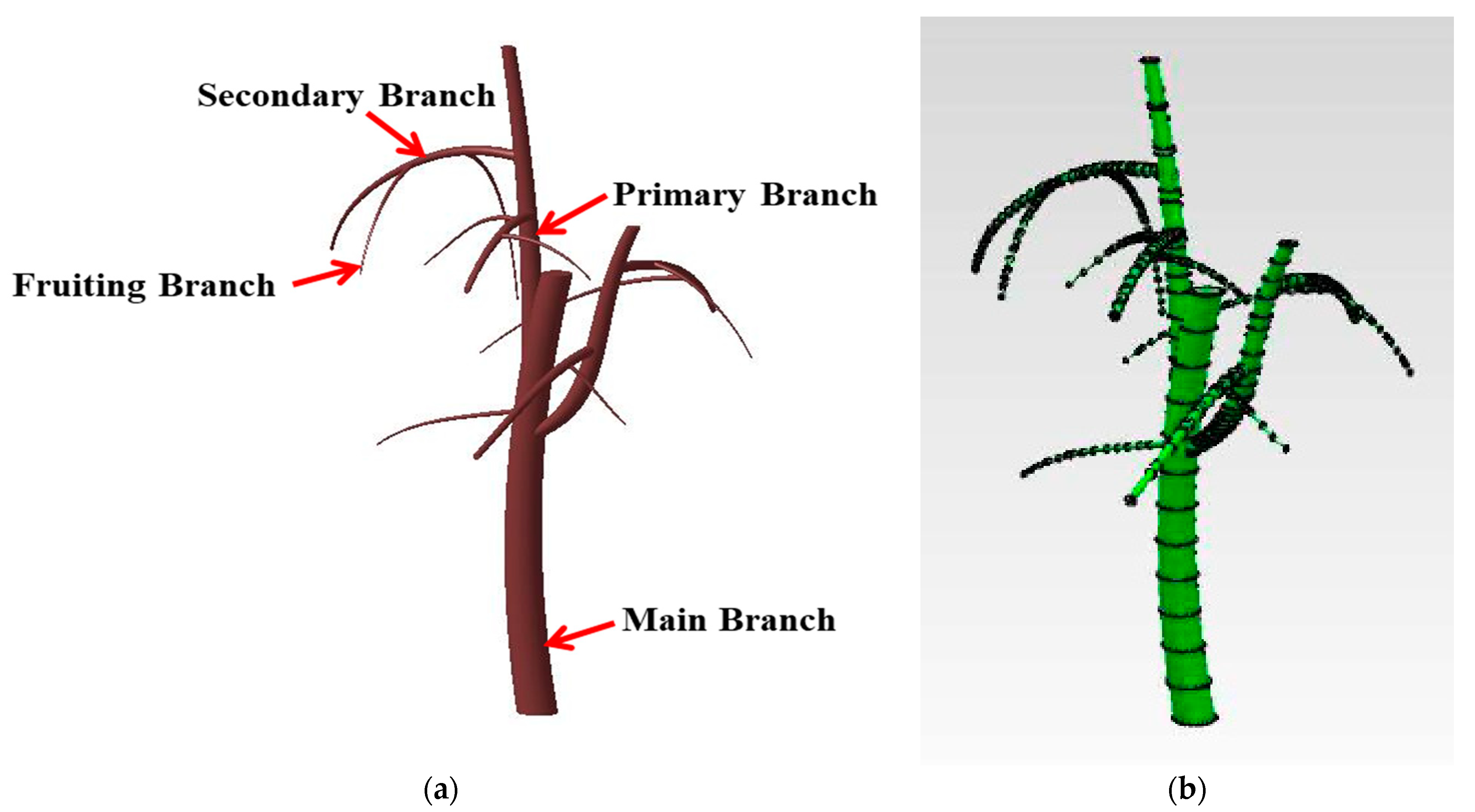 Agriculture 11 00519 g001 Agriculture 11 00519 g001