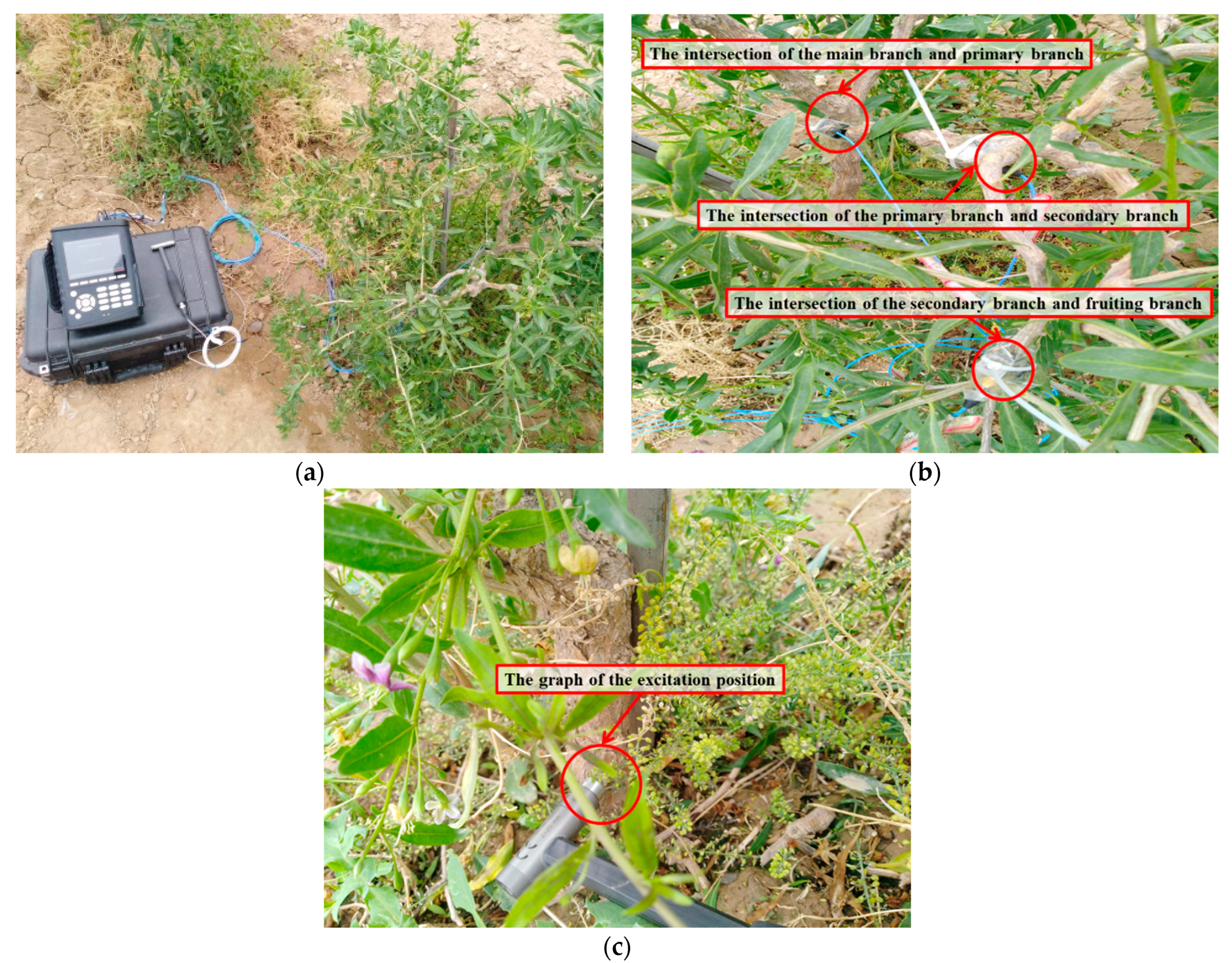 Agriculture 11 00519 g005 Agriculture 11 00519 g005