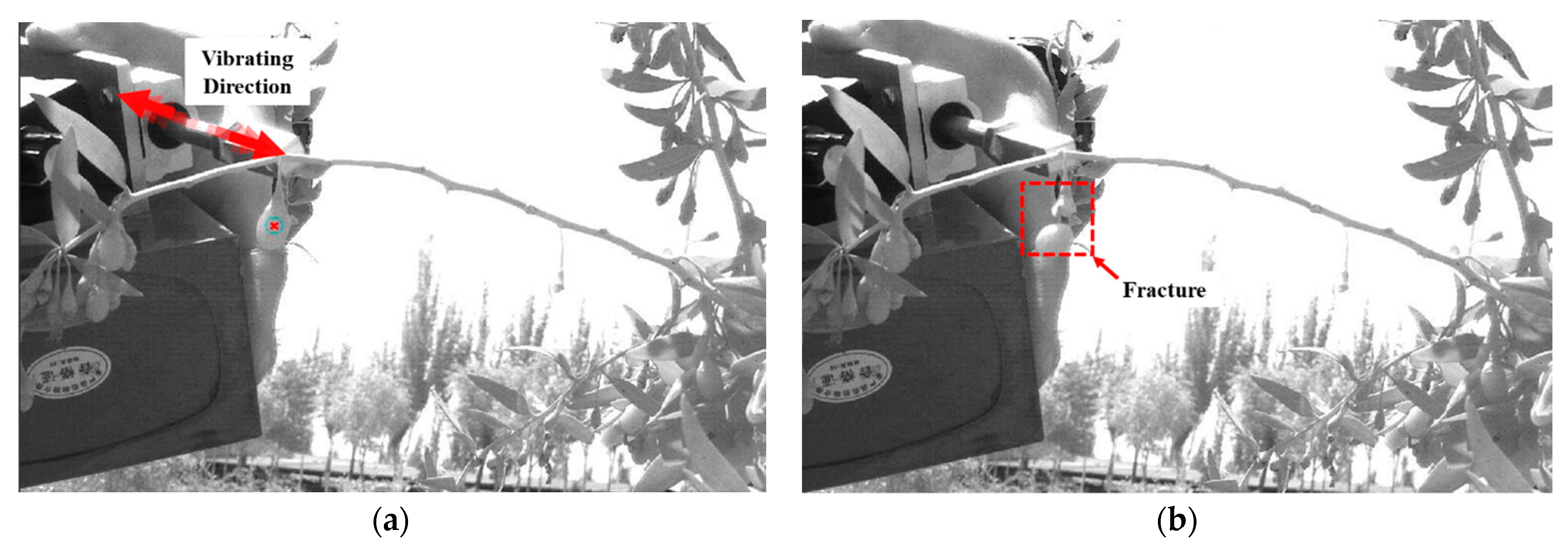 Agriculture 11 00519 g007 Agriculture 11 00519 g007