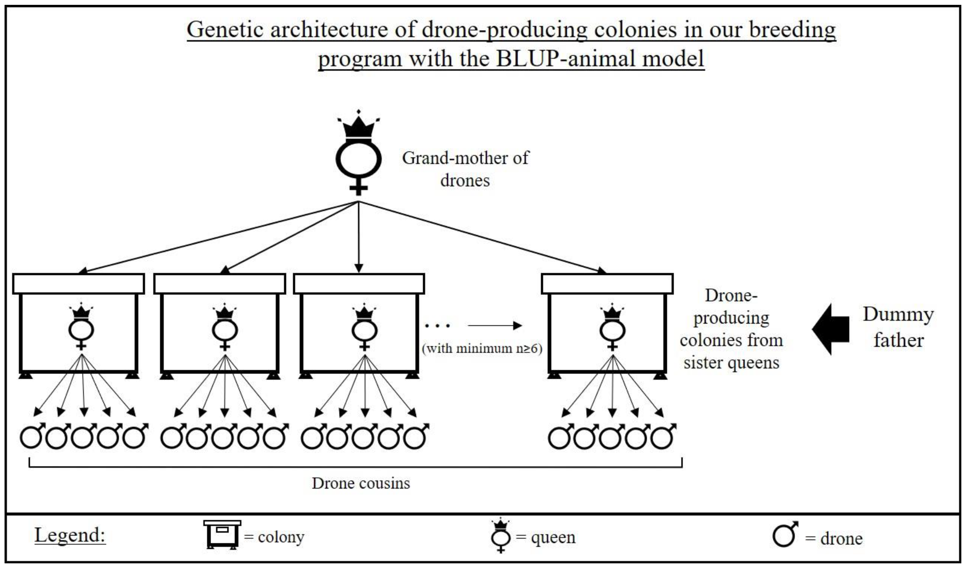 Agriculture | Free Full-Text | Genetic Progress Achieved during 10 Years of Selective Breeding for Honeybee Traits of Interest to the Beekeeping Industry Agriculture | Free Full-Text | Genetic Progress Achieved during 10 Years of Selective Breeding for Honeybee Traits of Interest to the Beekeeping Industry