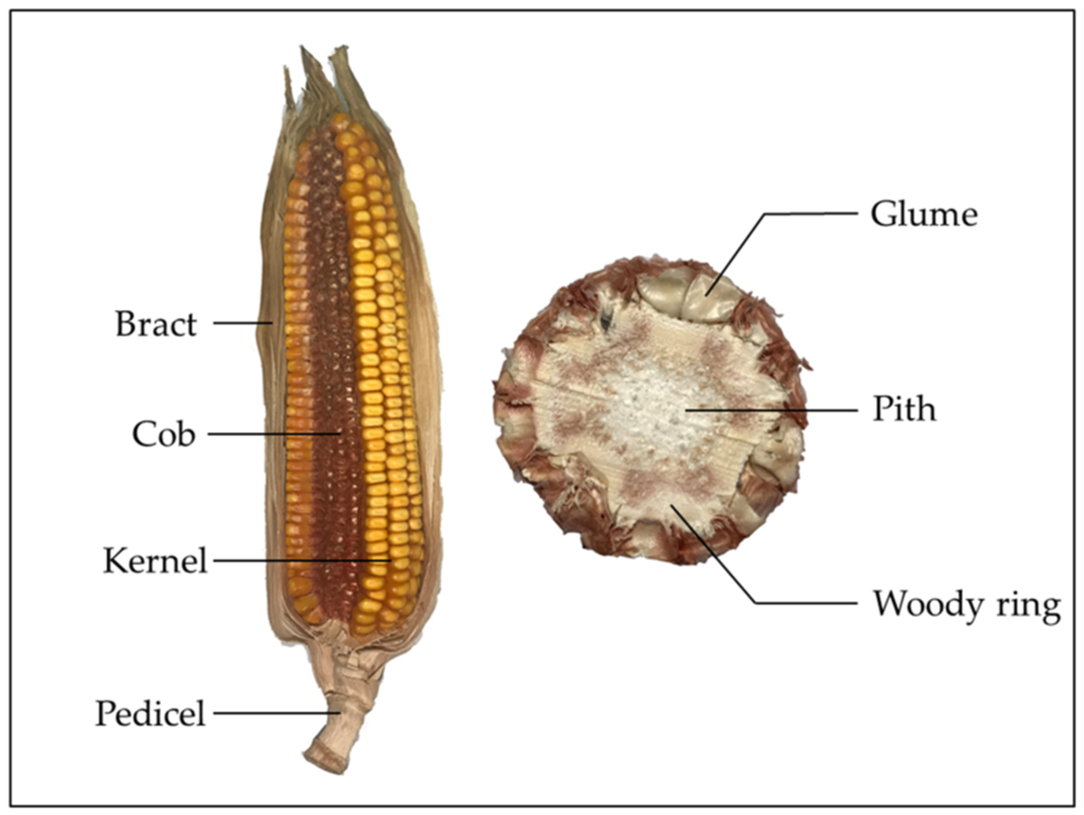 Wholesale corn cob polishing media For Grinding, Drilling or