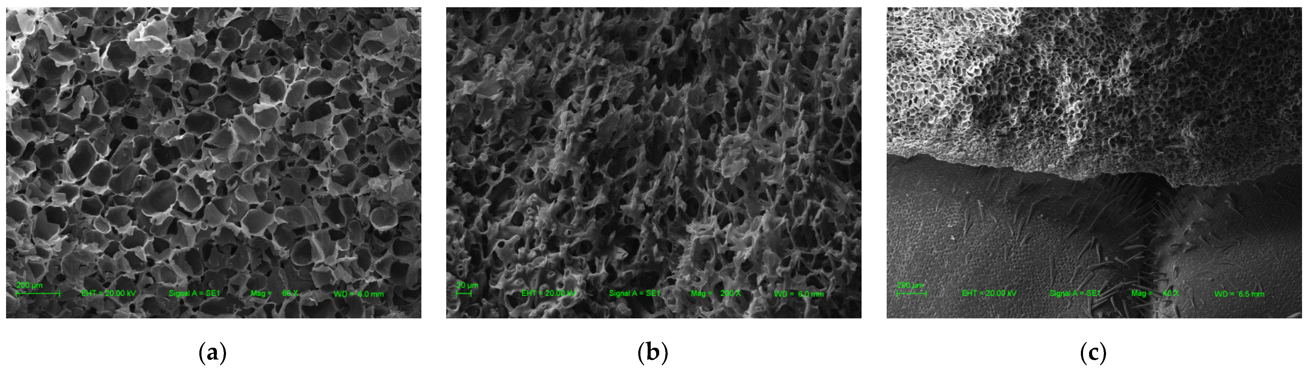 Agriculture 11 00556 g007 Agriculture 11 00556 g007