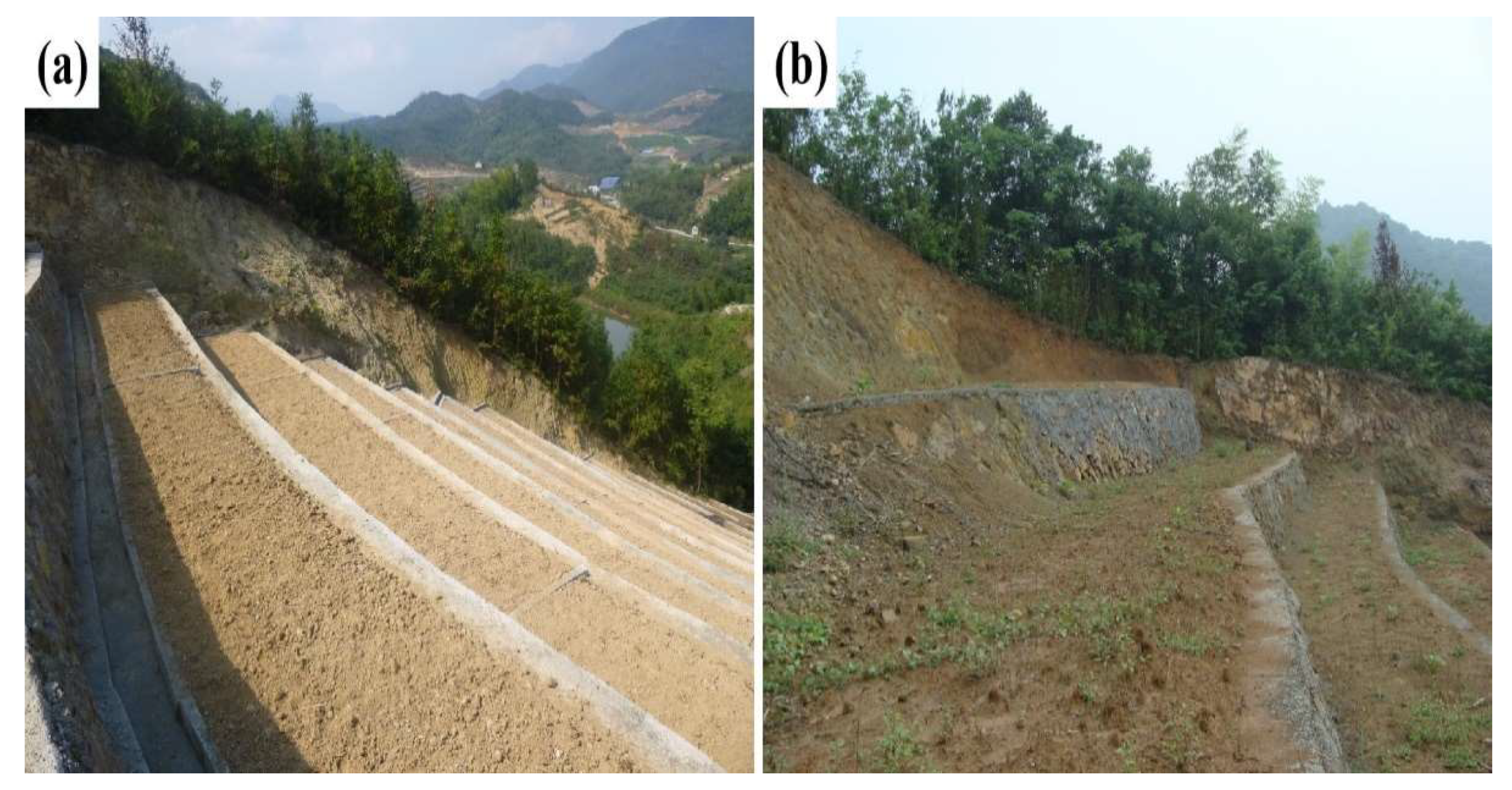 Agriculture 11 00560 g001