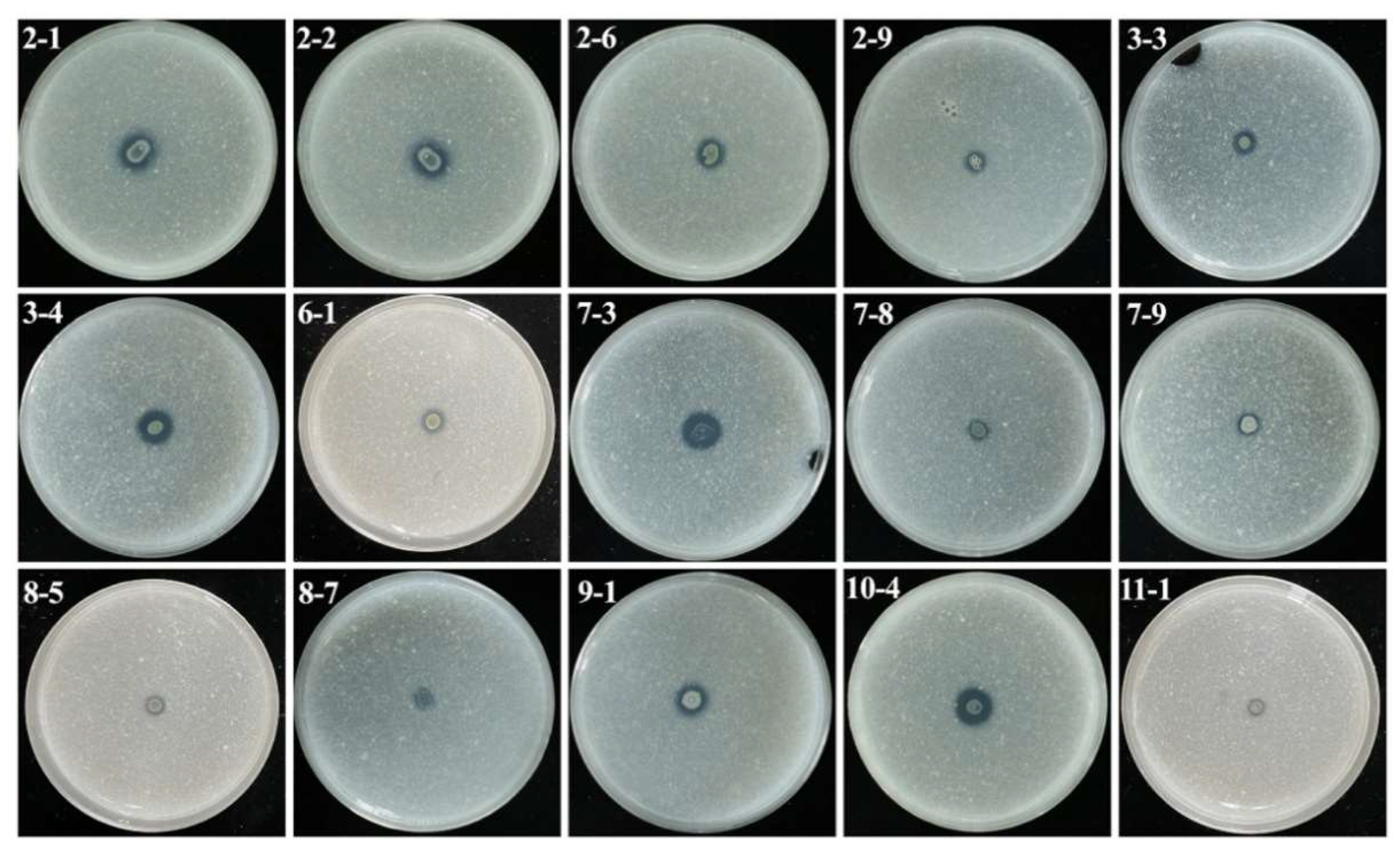 Agriculture 11 00560 g003