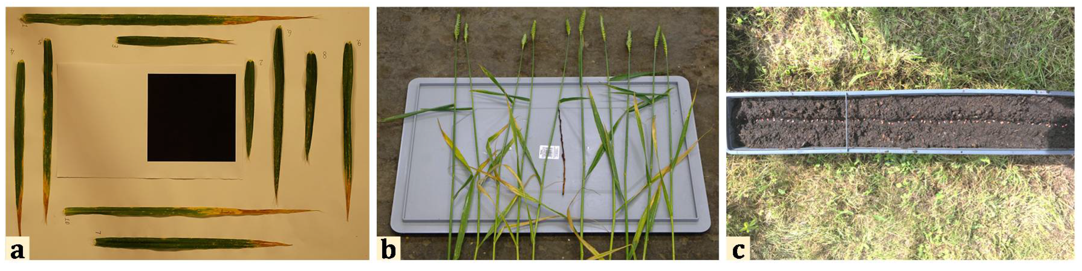 Agriculture 11 00563 g006 Agriculture 11 00563 g006