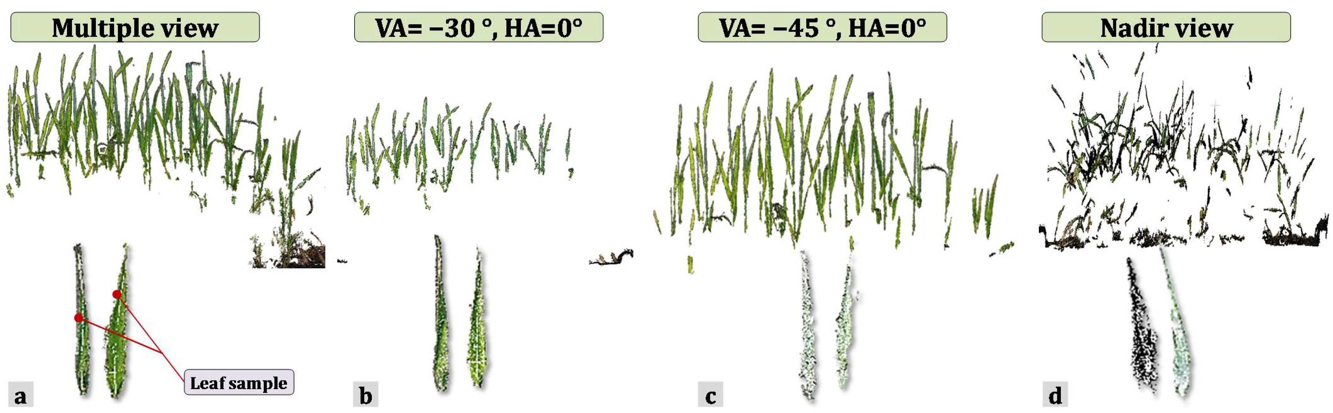 Agriculture 11 00563 g007 Agriculture 11 00563 g007