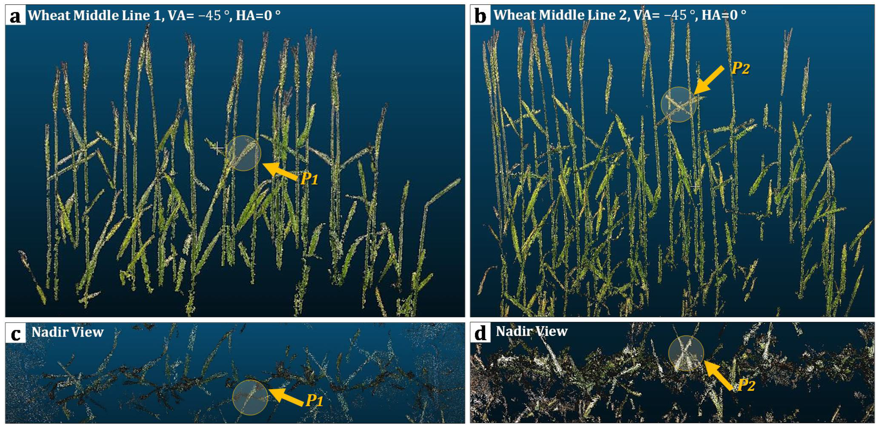 Agriculture 11 00563 g008 Agriculture 11 00563 g008