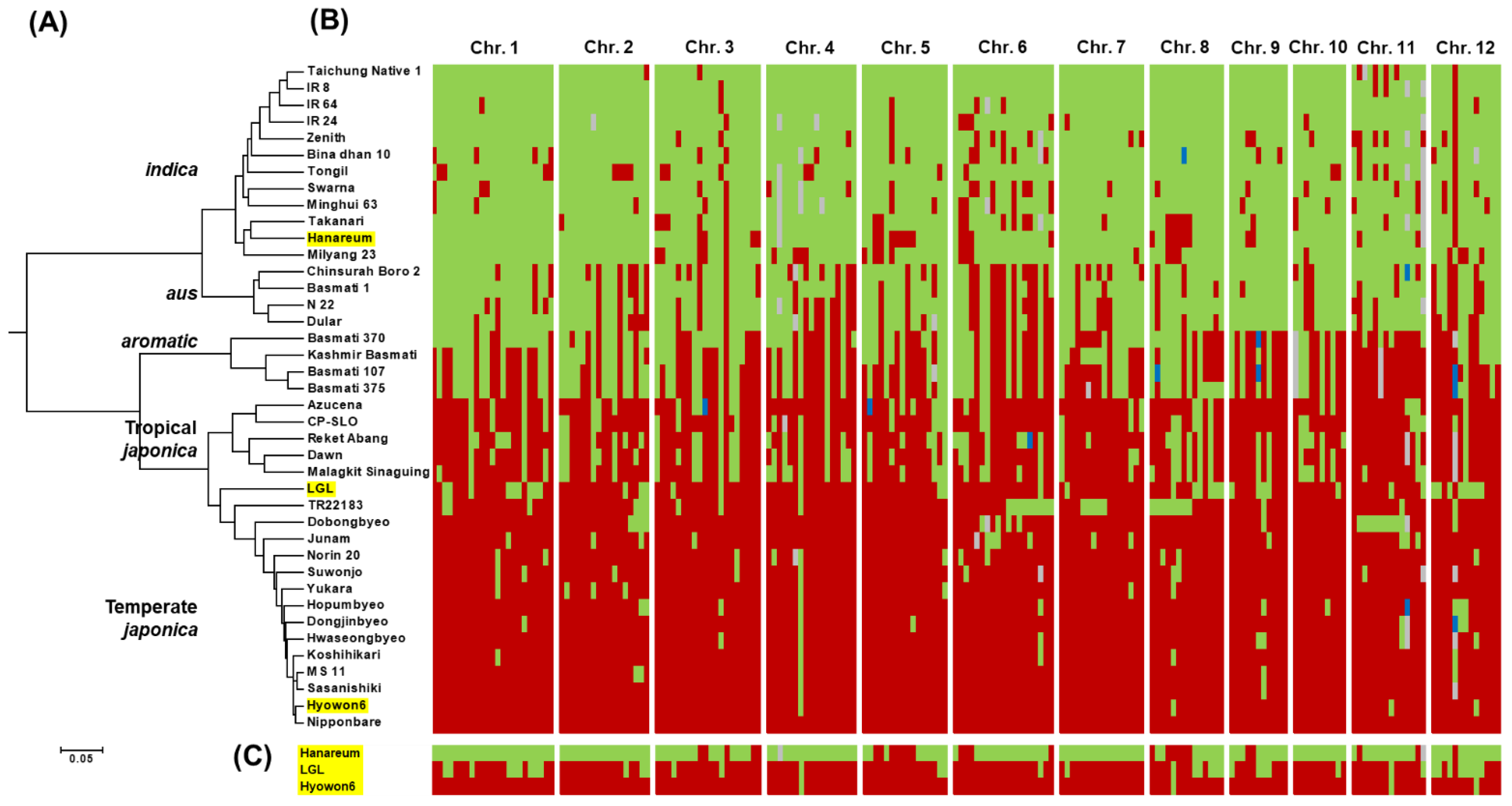 Agriculture 11 00565 g003