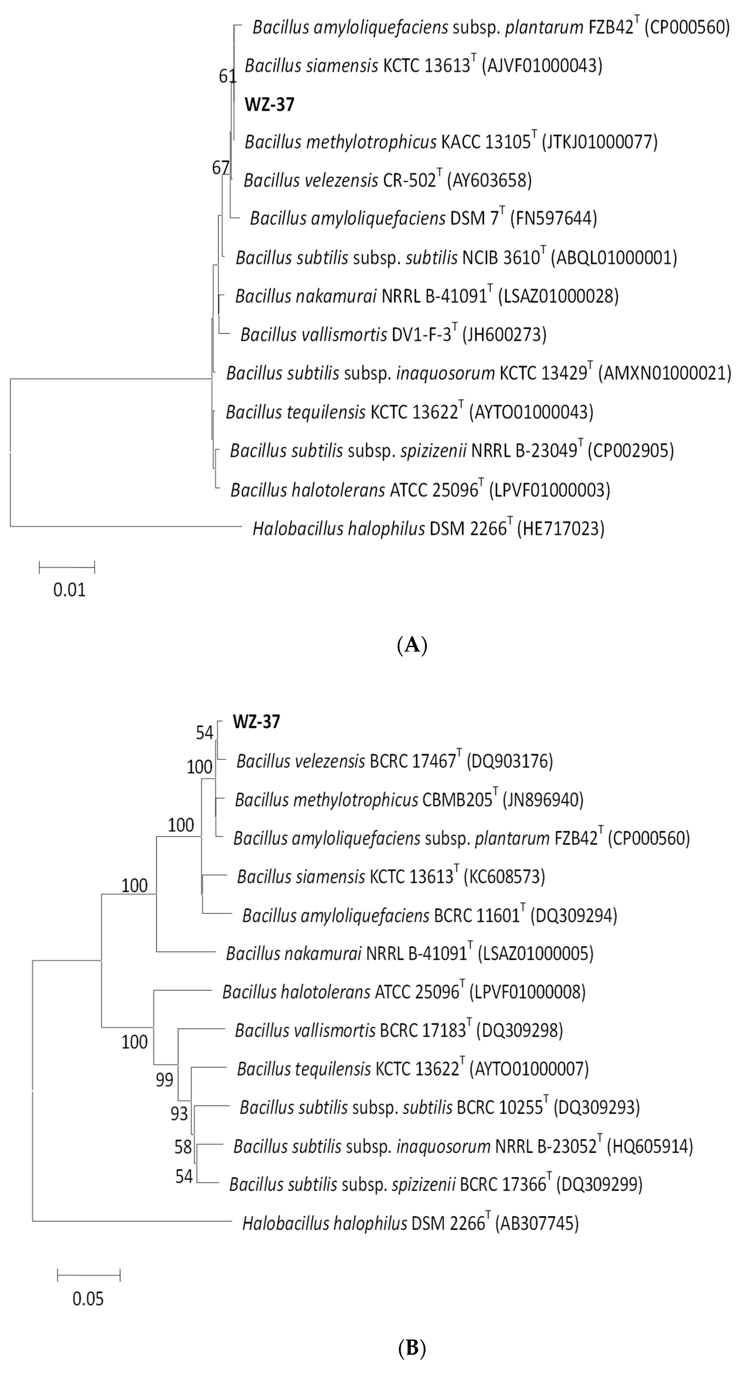 Agriculture 11 00581 g003