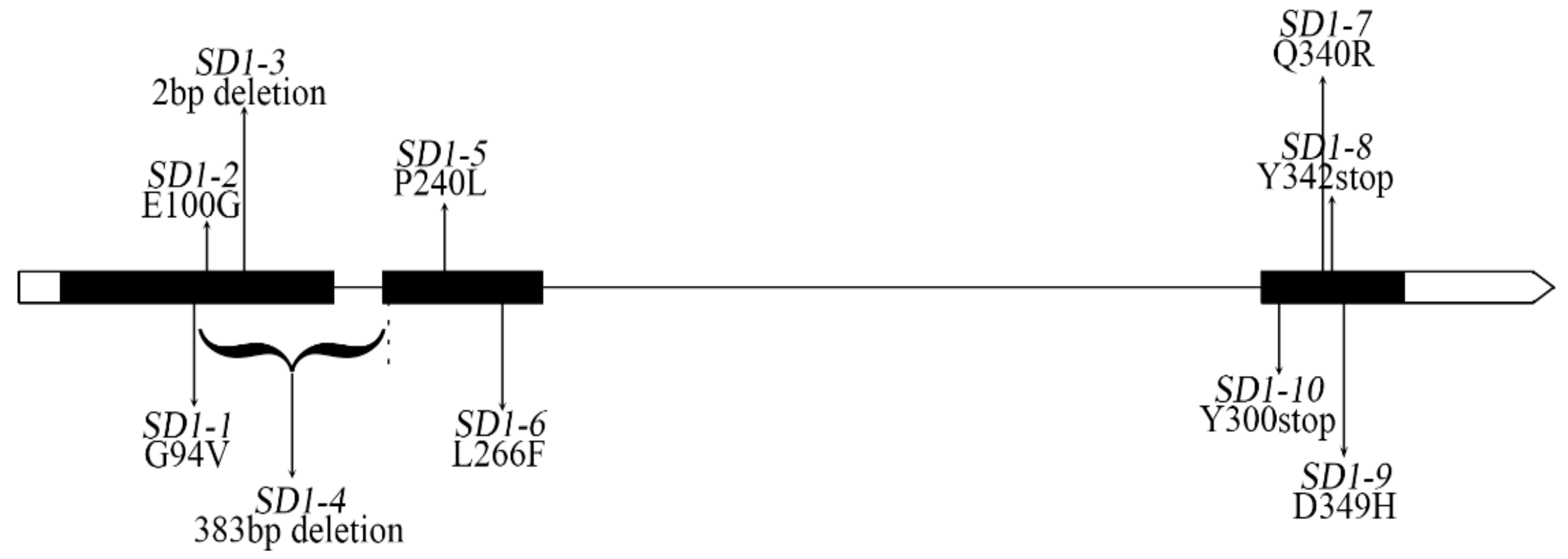 Agriculture 11 00611 g001