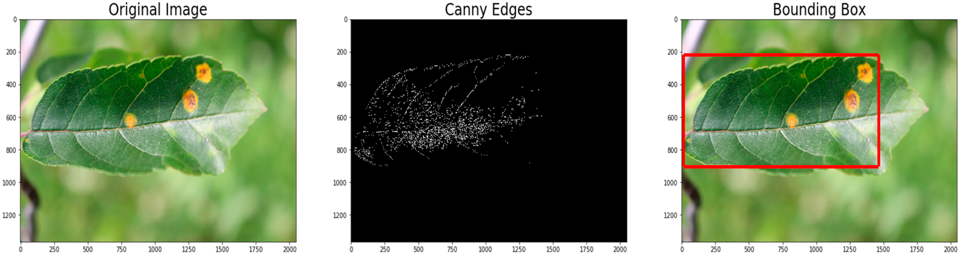 Agriculture 11 00617 g011 550