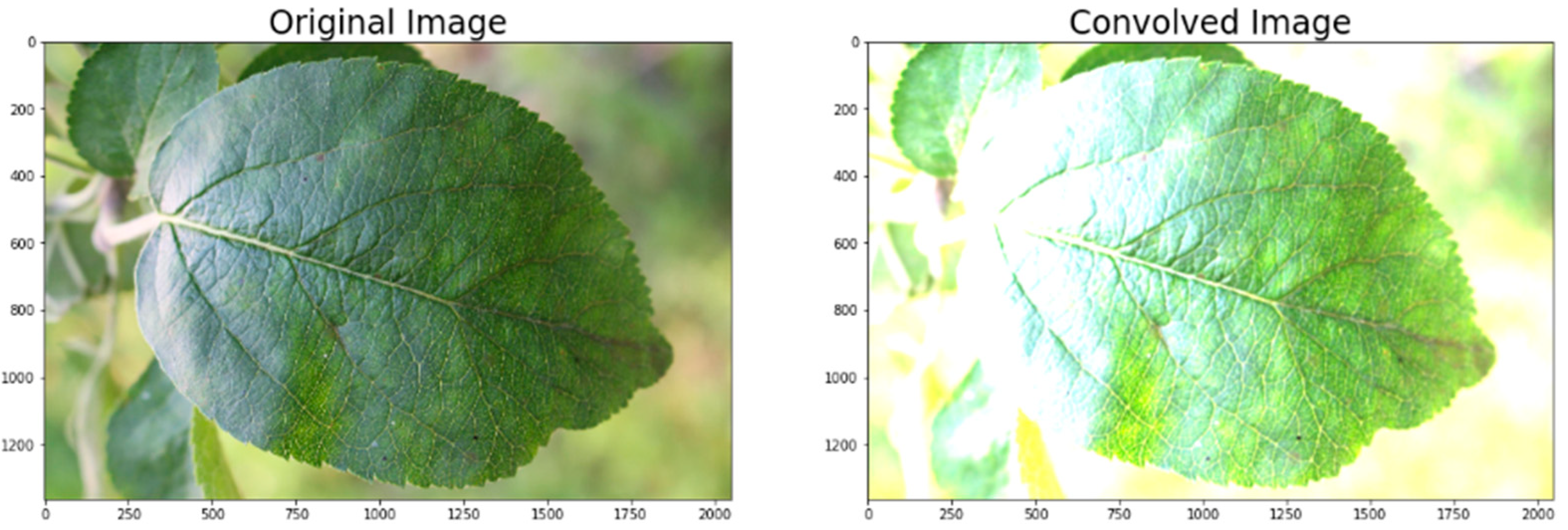 Agriculture 11 00617 g013 550