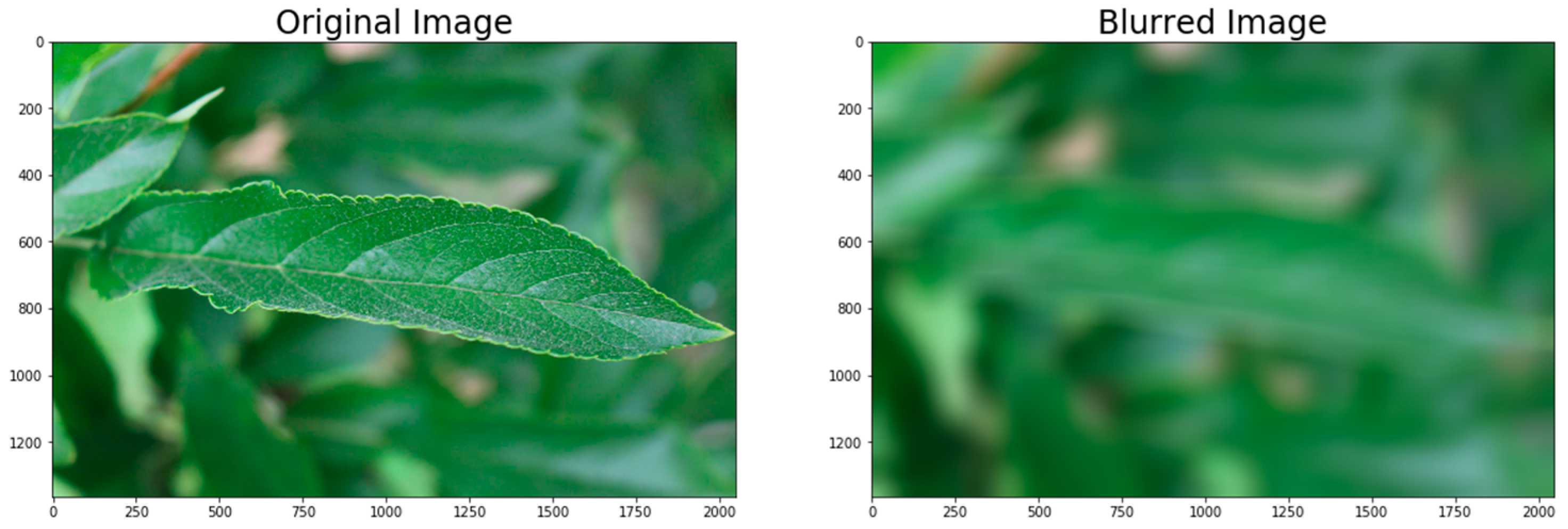 Agriculture 11 00617 g014 550