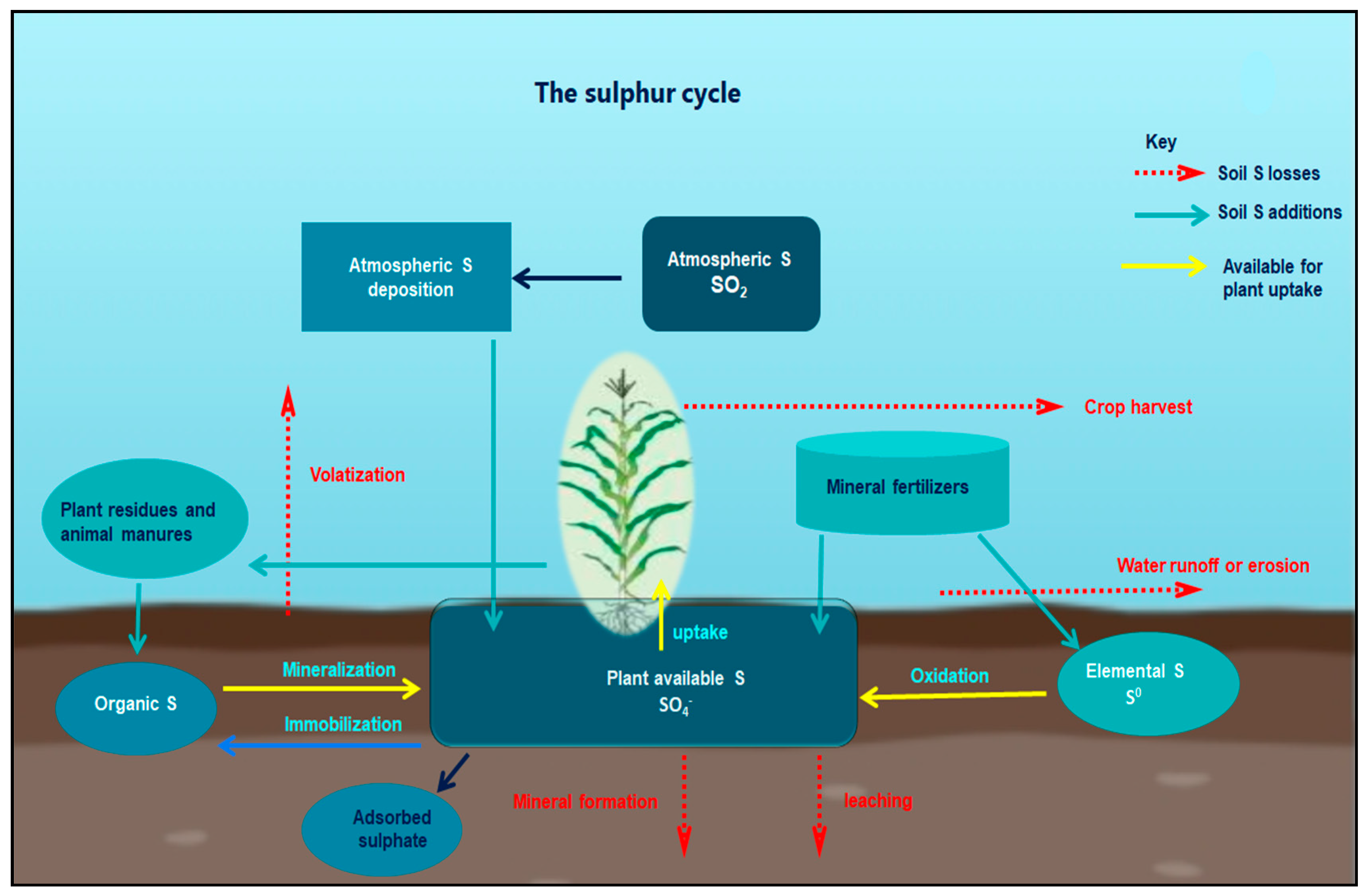 Agriculture 11 00626 g002