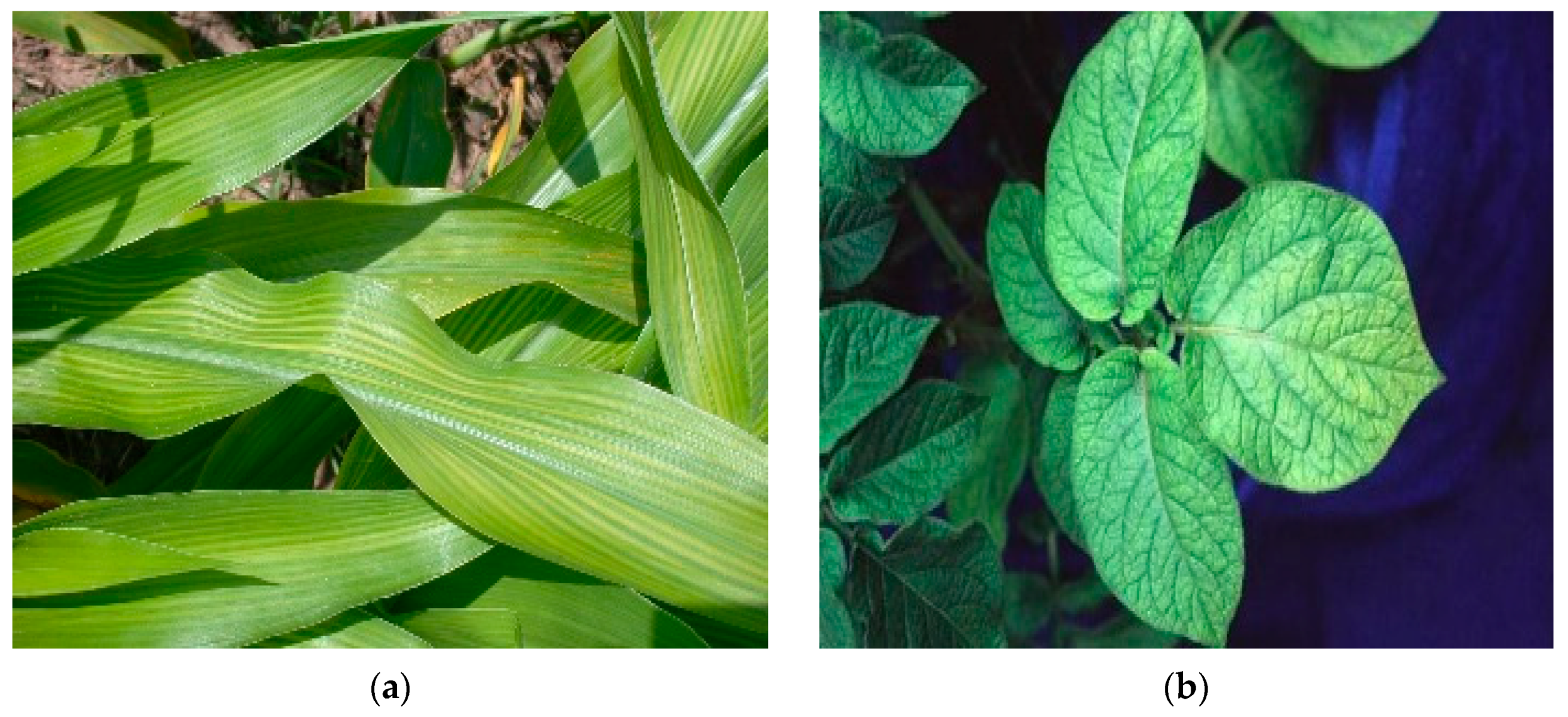 Agriculture 11 00626 g003