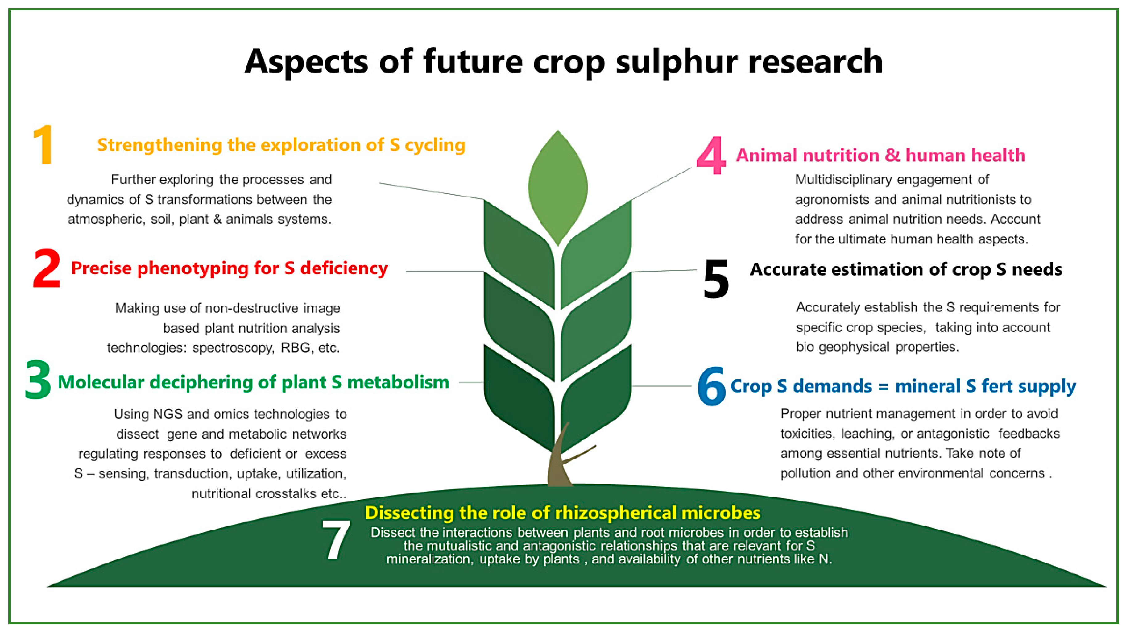 Agriculture Free FullText Revisiting Sulphur—The Once Neglected