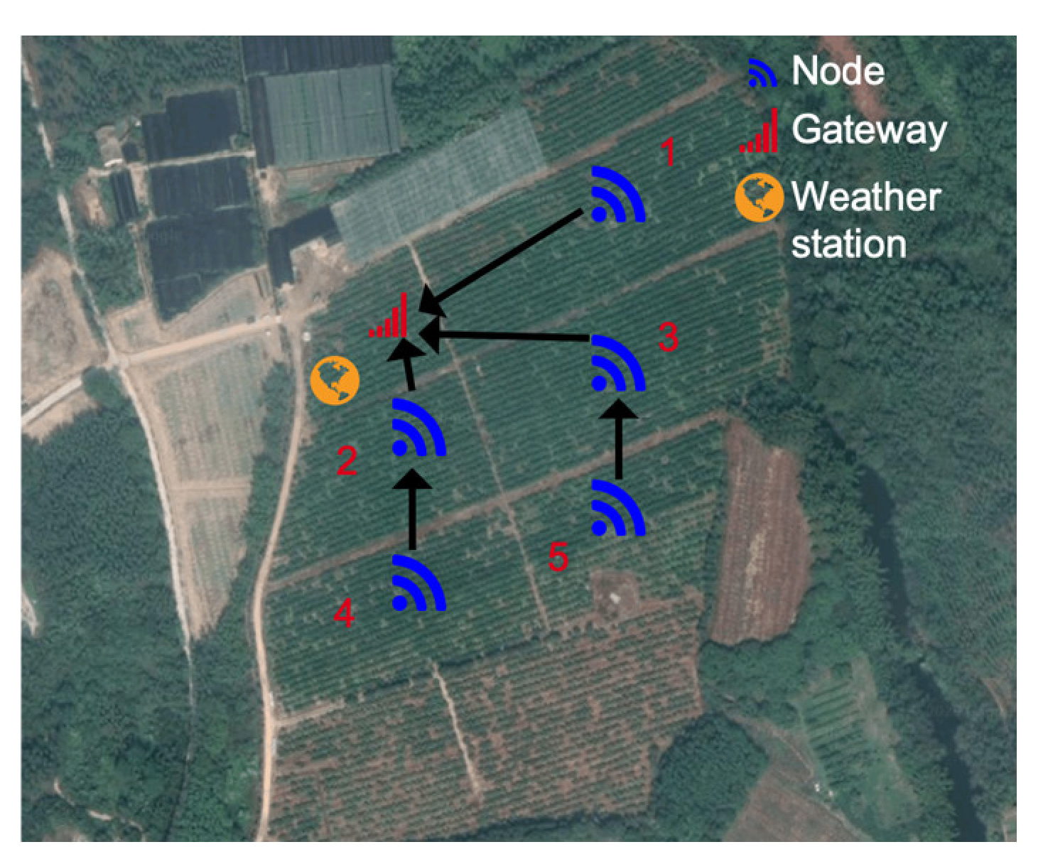 Agriculture 11 00635 g004