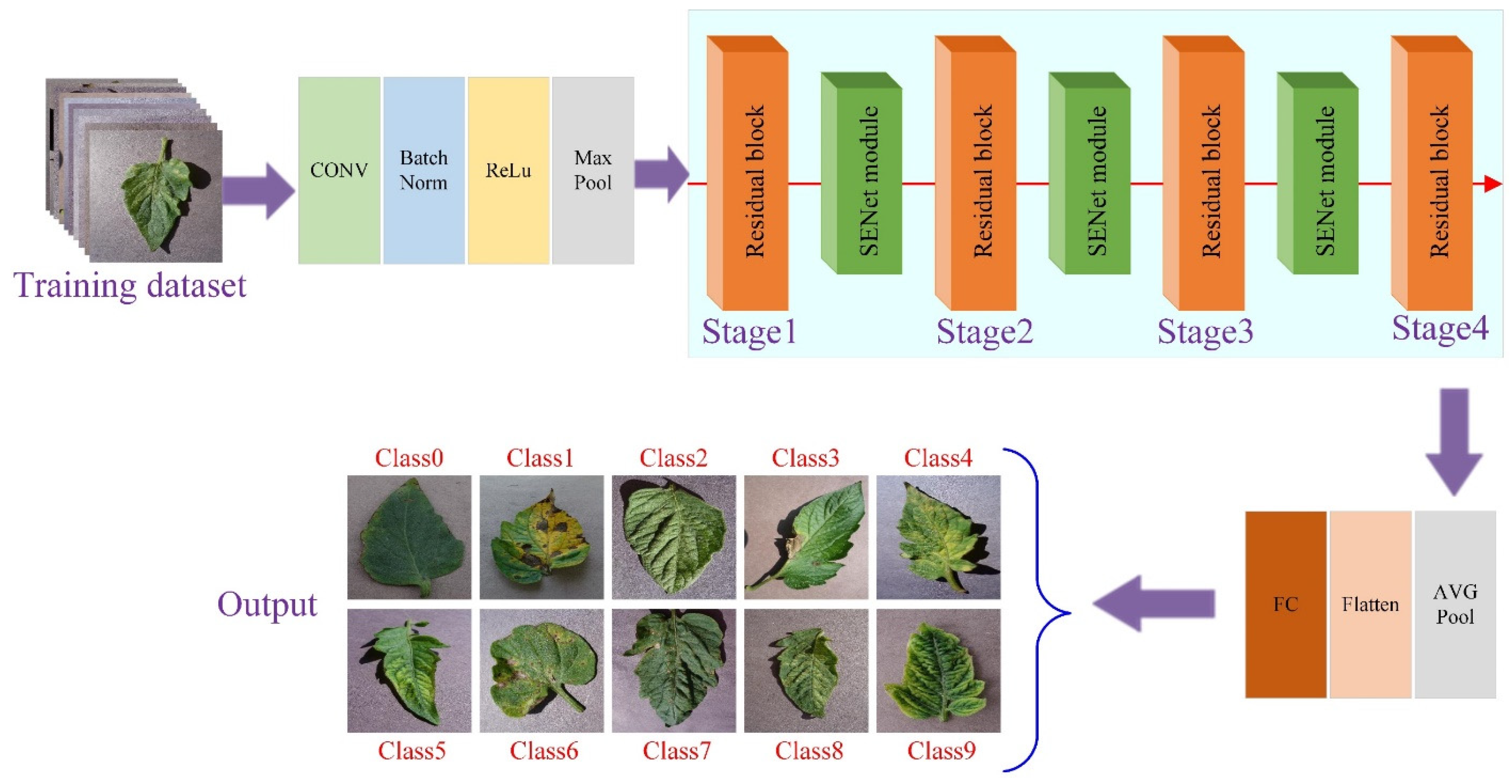 Tomato Leaf Disease Diagnosis Based on Improved Convolution Neural ...