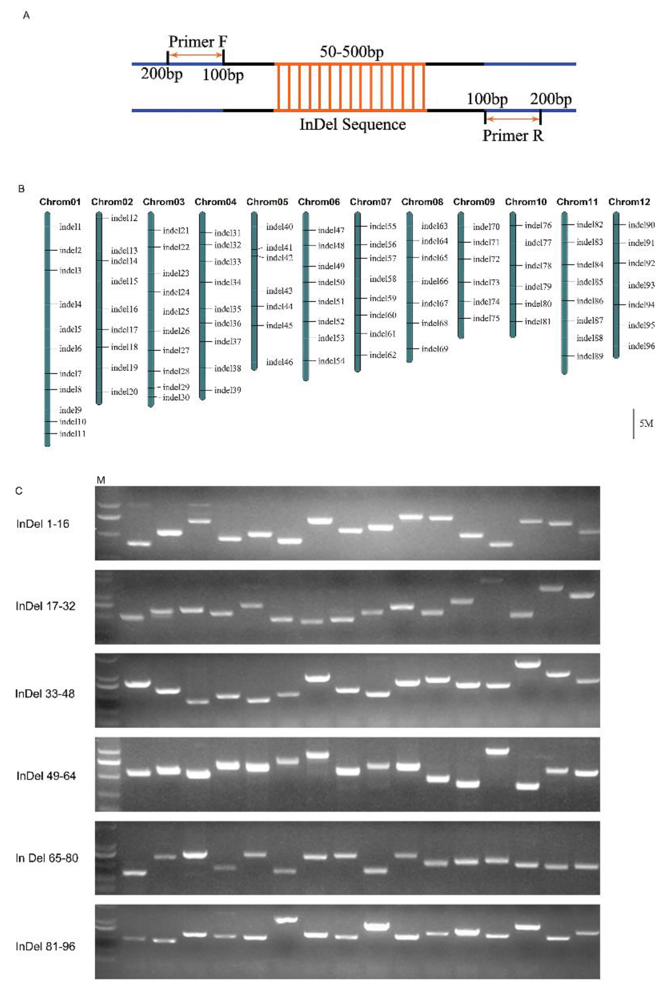 Agriculture 11 00655 g002 Agriculture 11 00655 g002