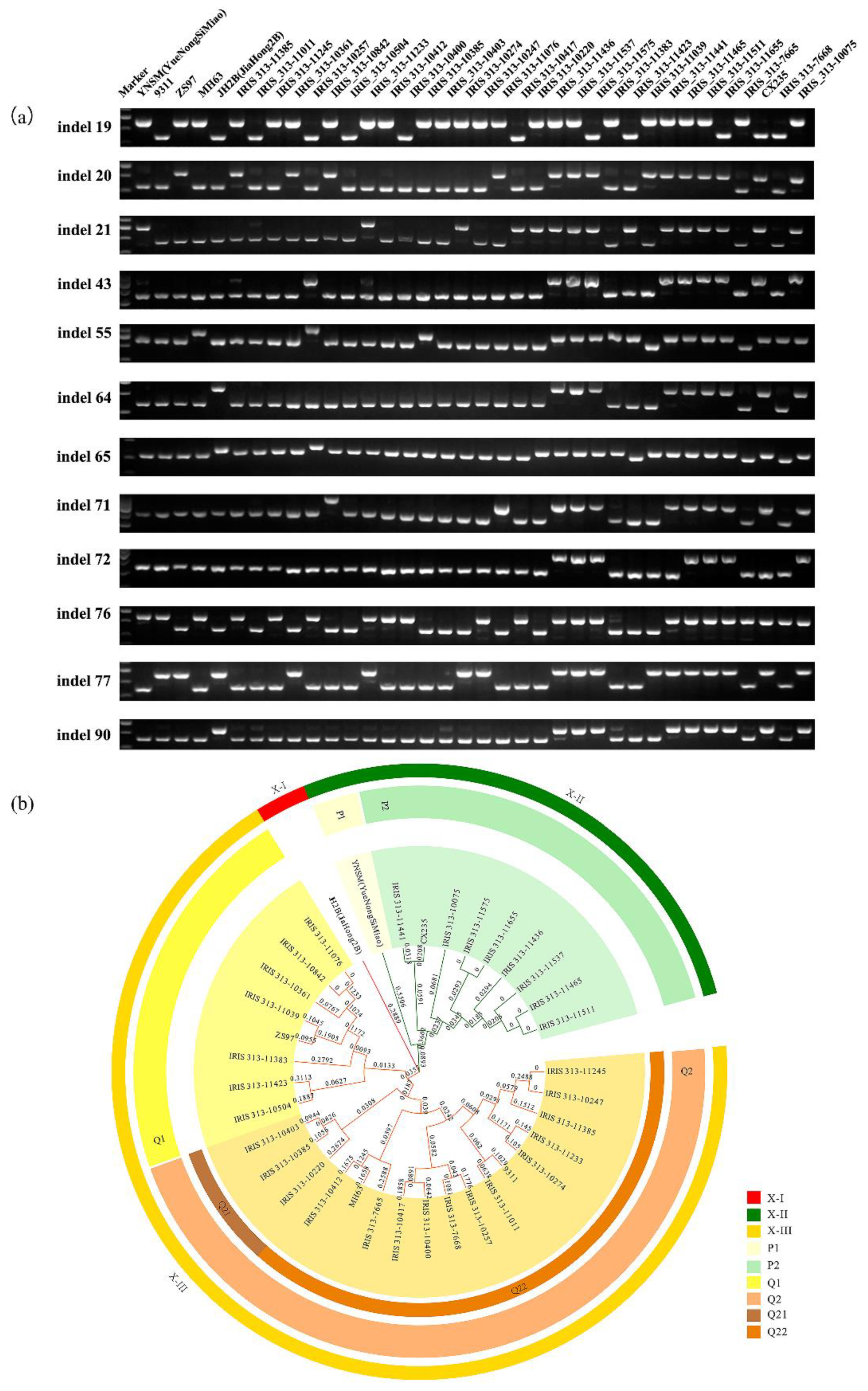 Agriculture 11 00655 g004 Agriculture 11 00655 g004