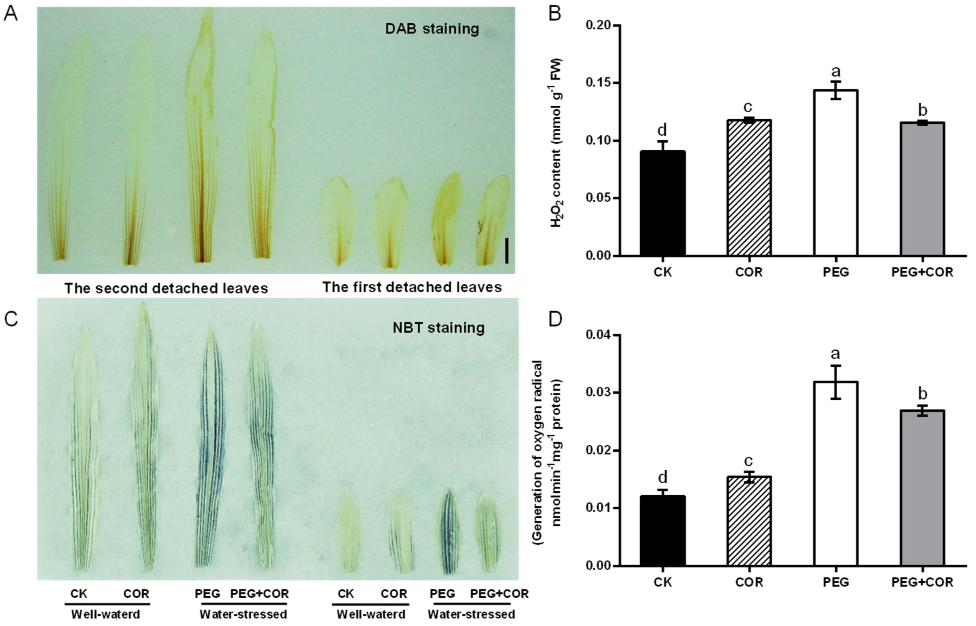 Agriculture 11 00685 g002 Agriculture 11 00685 g002