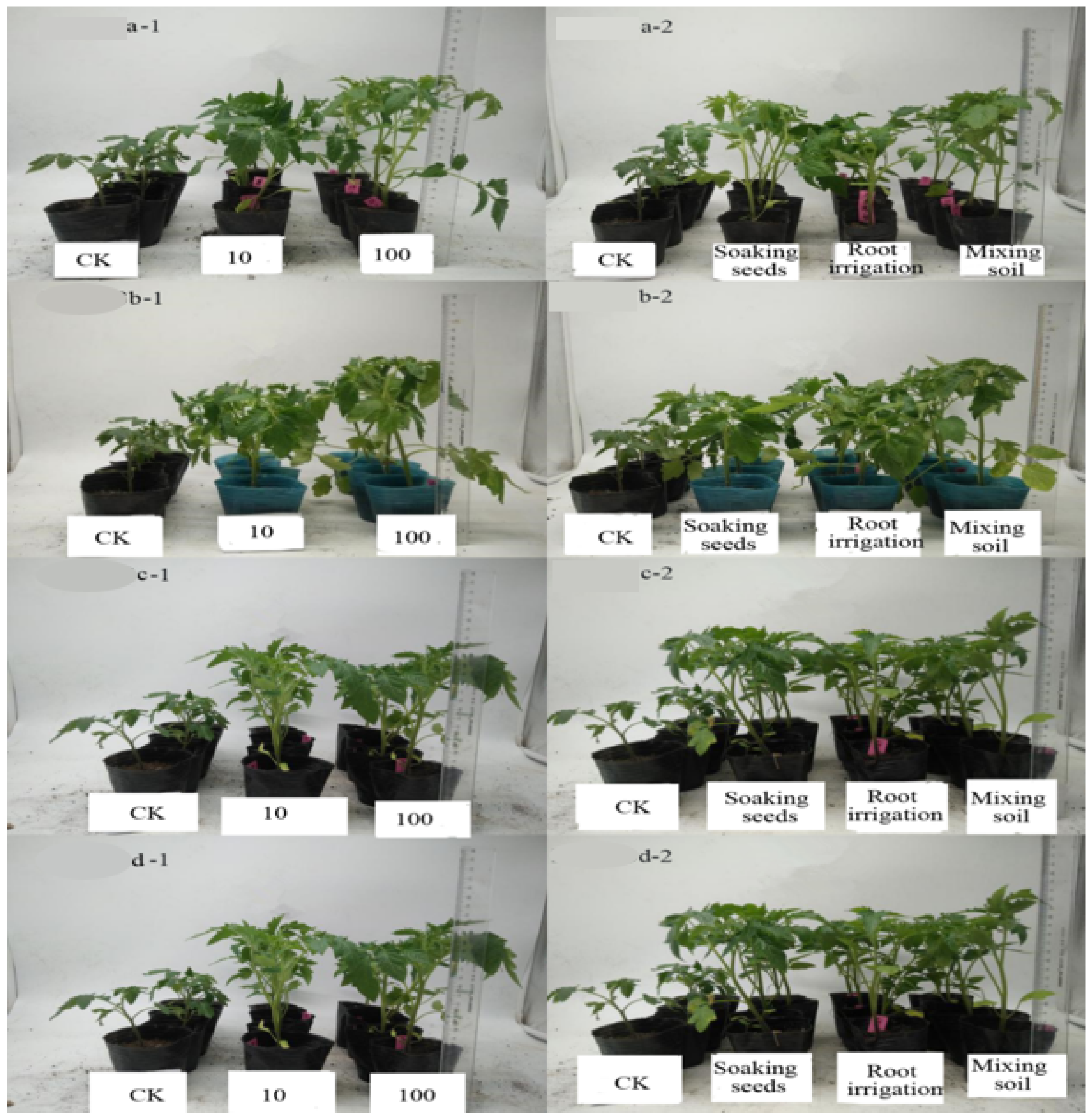 Agriculture 11 00686 g003 550