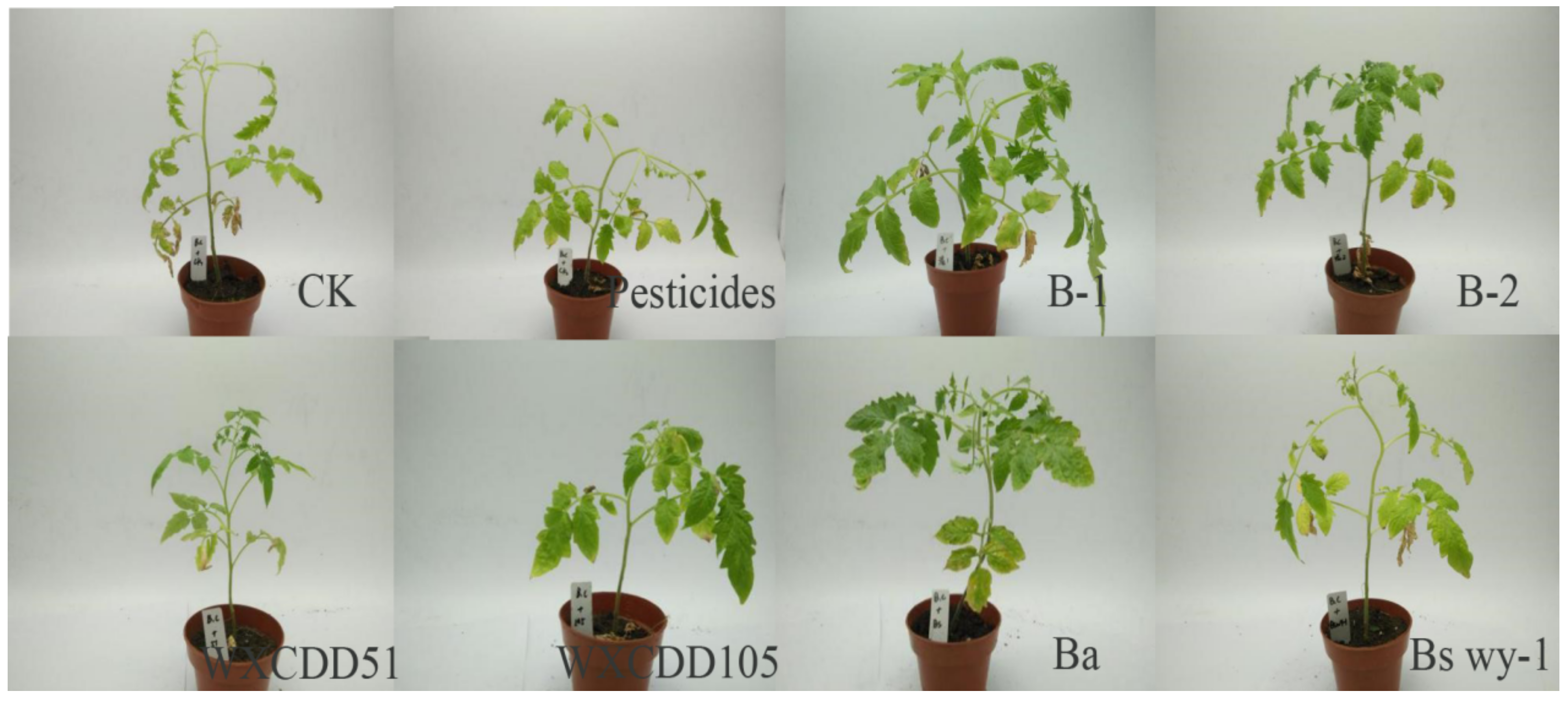 Agriculture 11 00686 g006 550