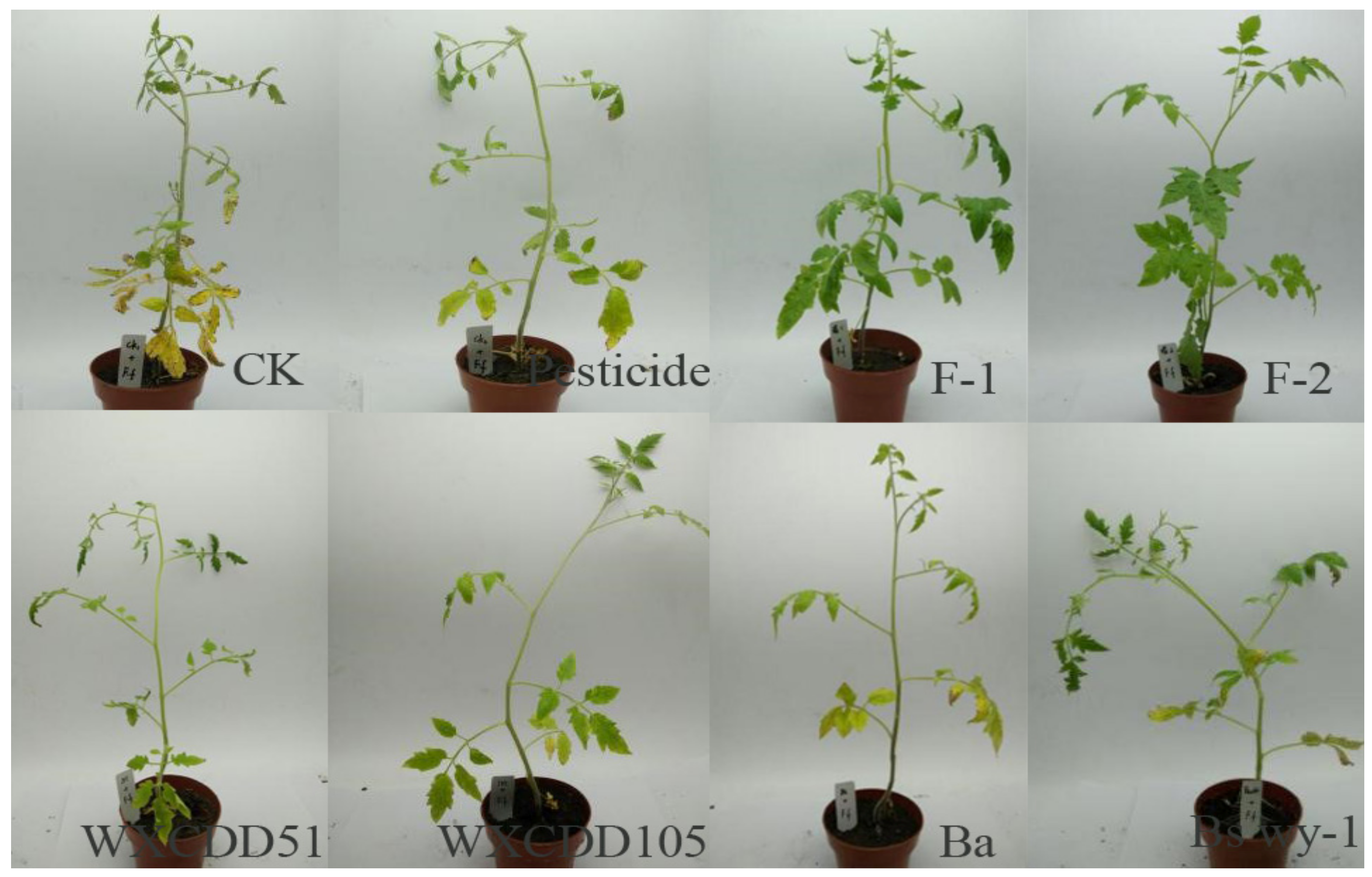 Agriculture 11 00686 g007 550