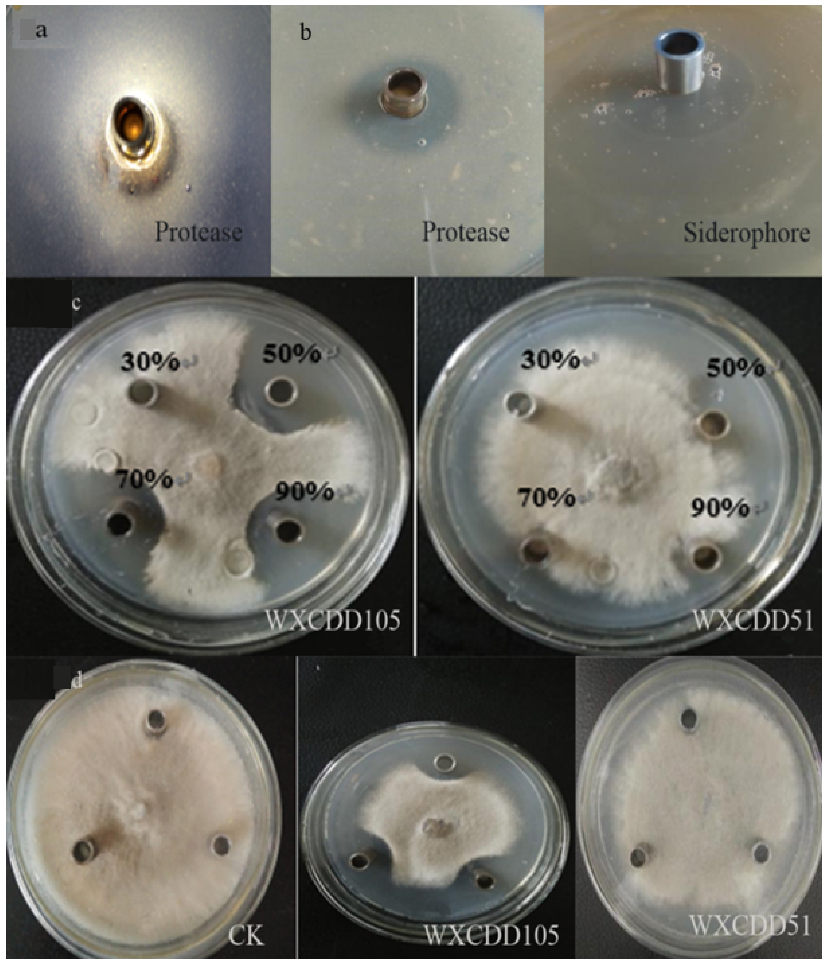 Agriculture 11 00686 g008 550