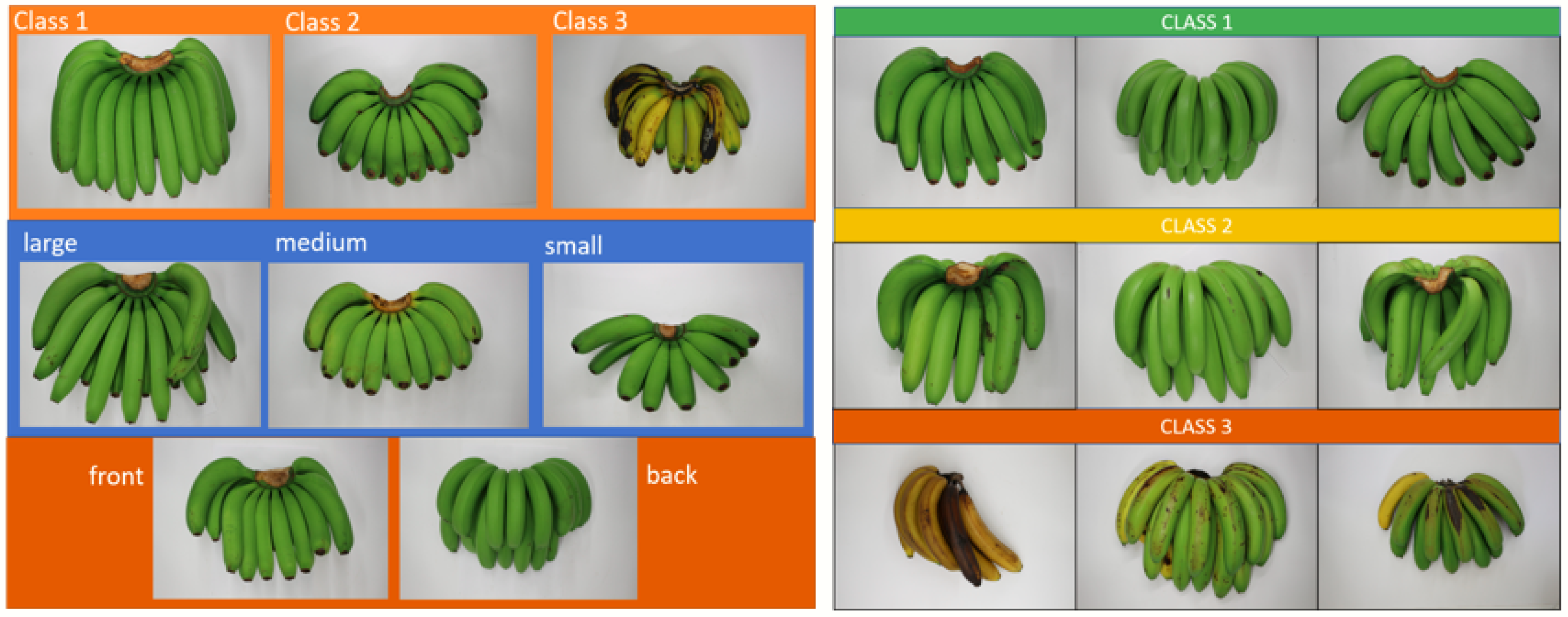 Agriculture Free FullText MultiInput Deep Learning Model with RGB
