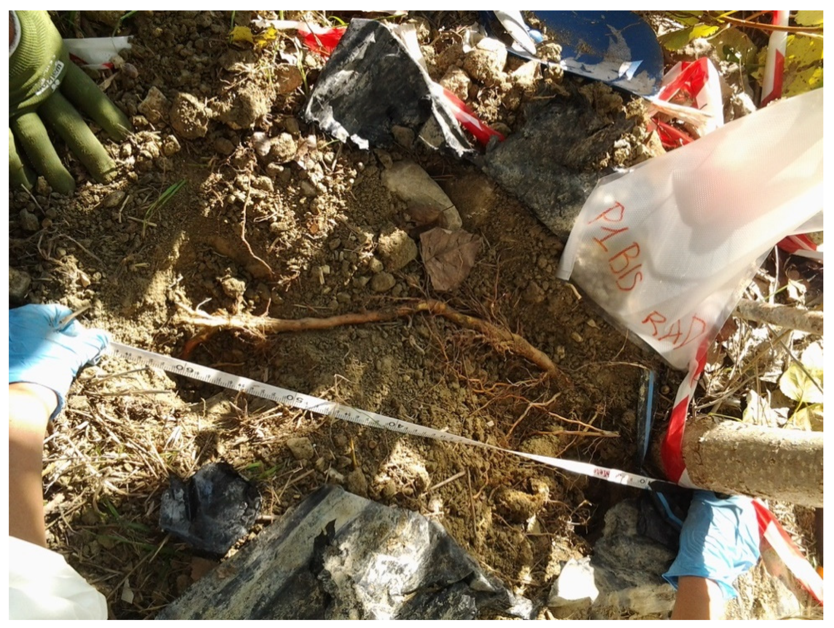 Agriculture 11 00689 g002