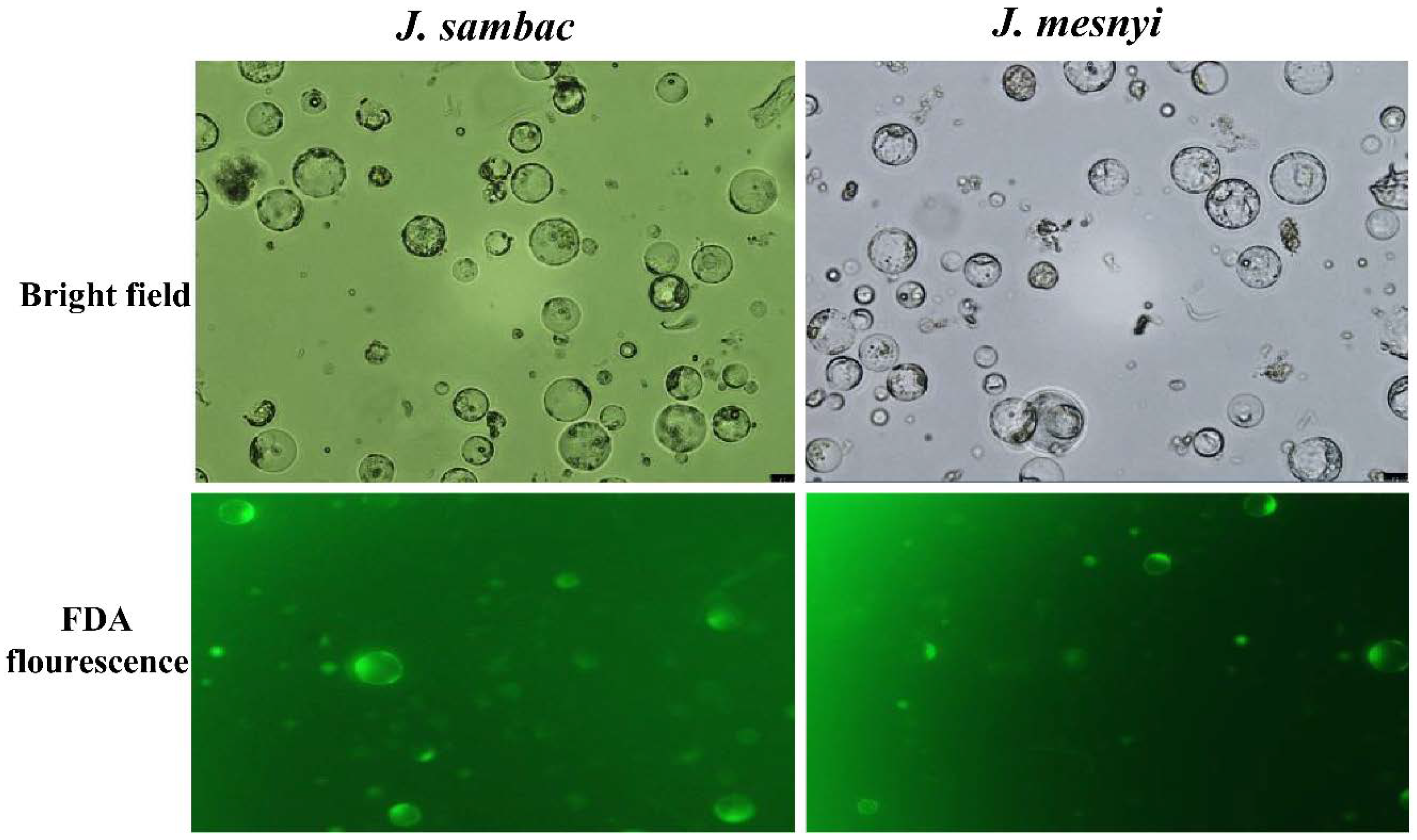 Agriculture 11 00699 g002 Agriculture 11 00699 g002